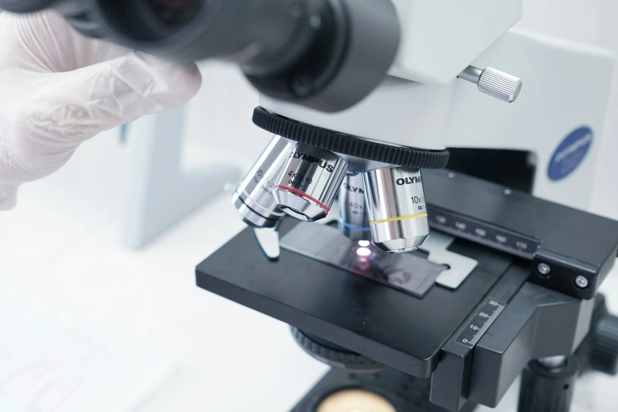 The Biotech IPO Module - An introduction