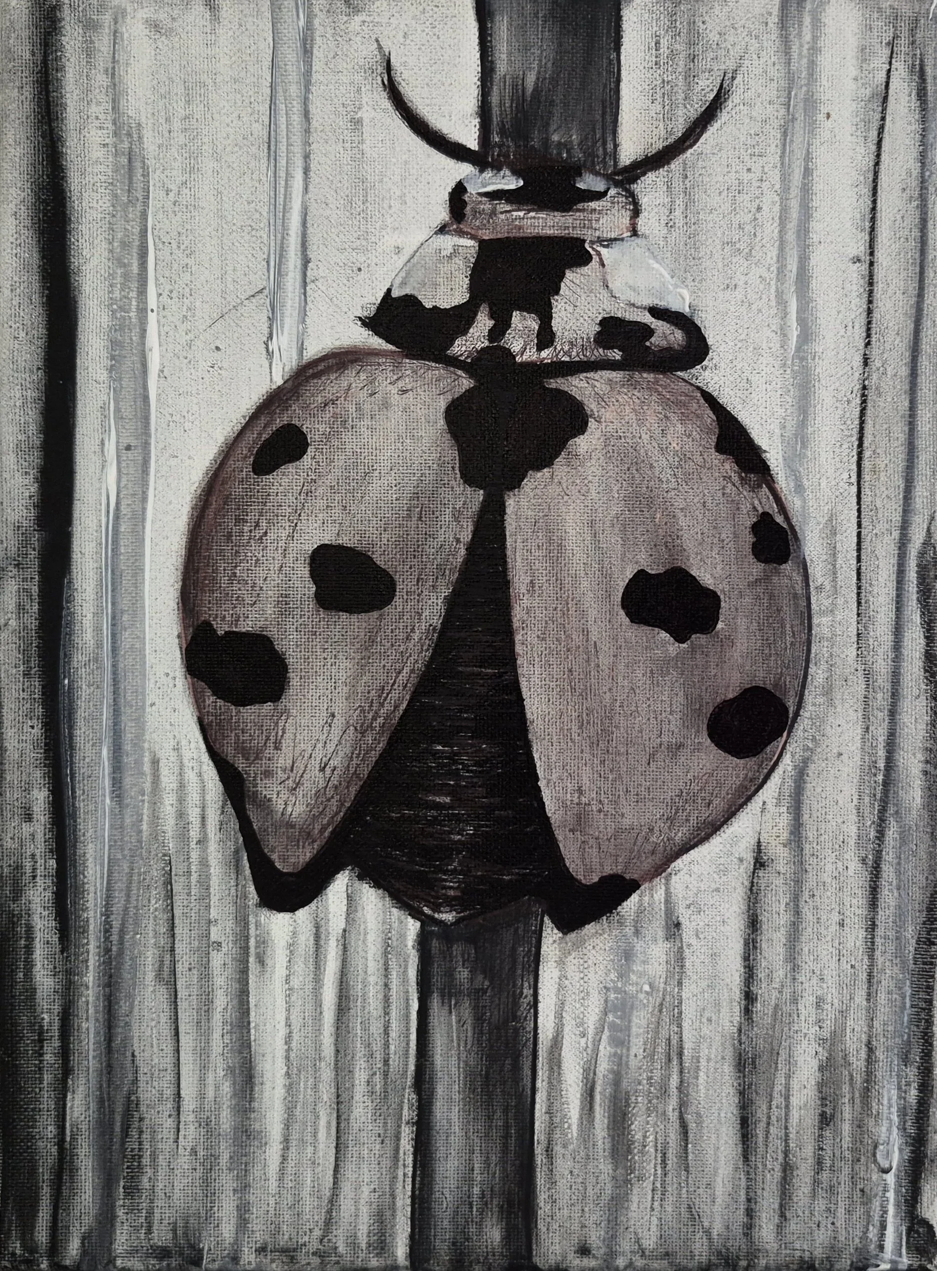 Ladybug