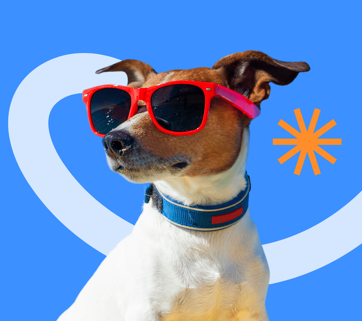 A cool dog wearing sunglasses, representing the completely stress-free, frictionless in-home massage experience.