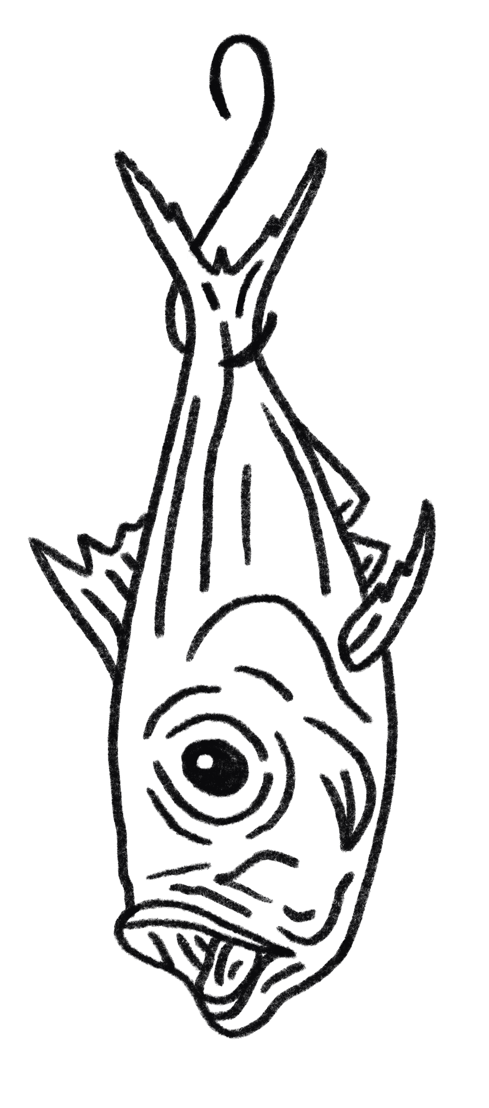 A hand crafted illustration of a dry aged kinmedai.