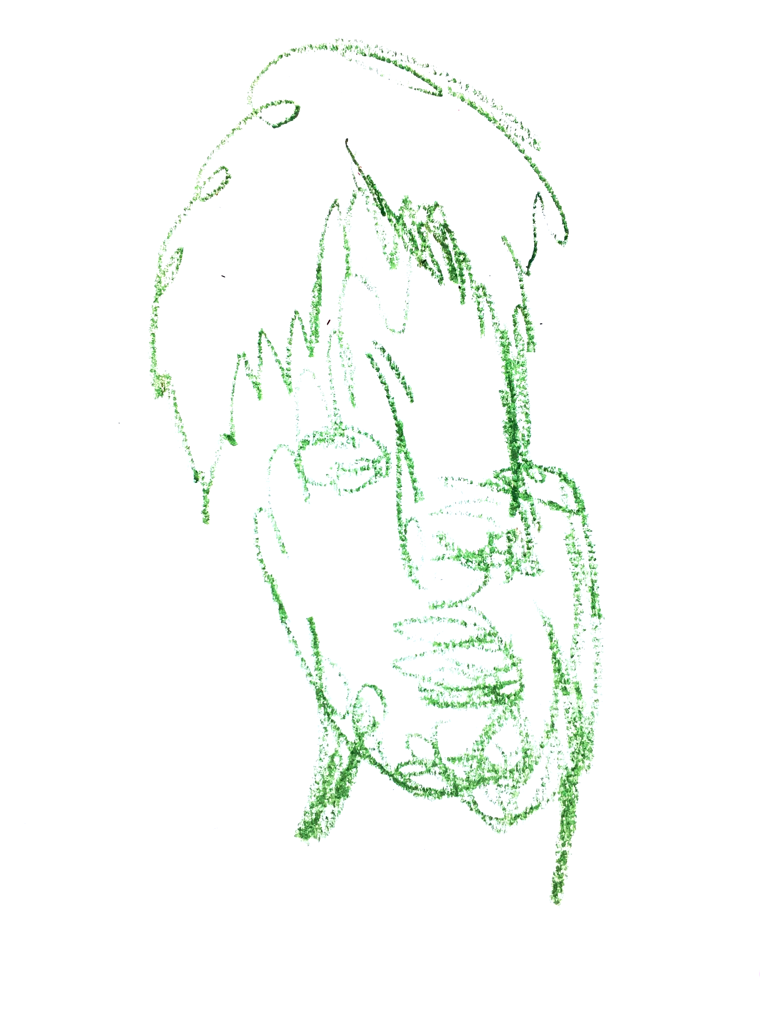 IMG_1361.png