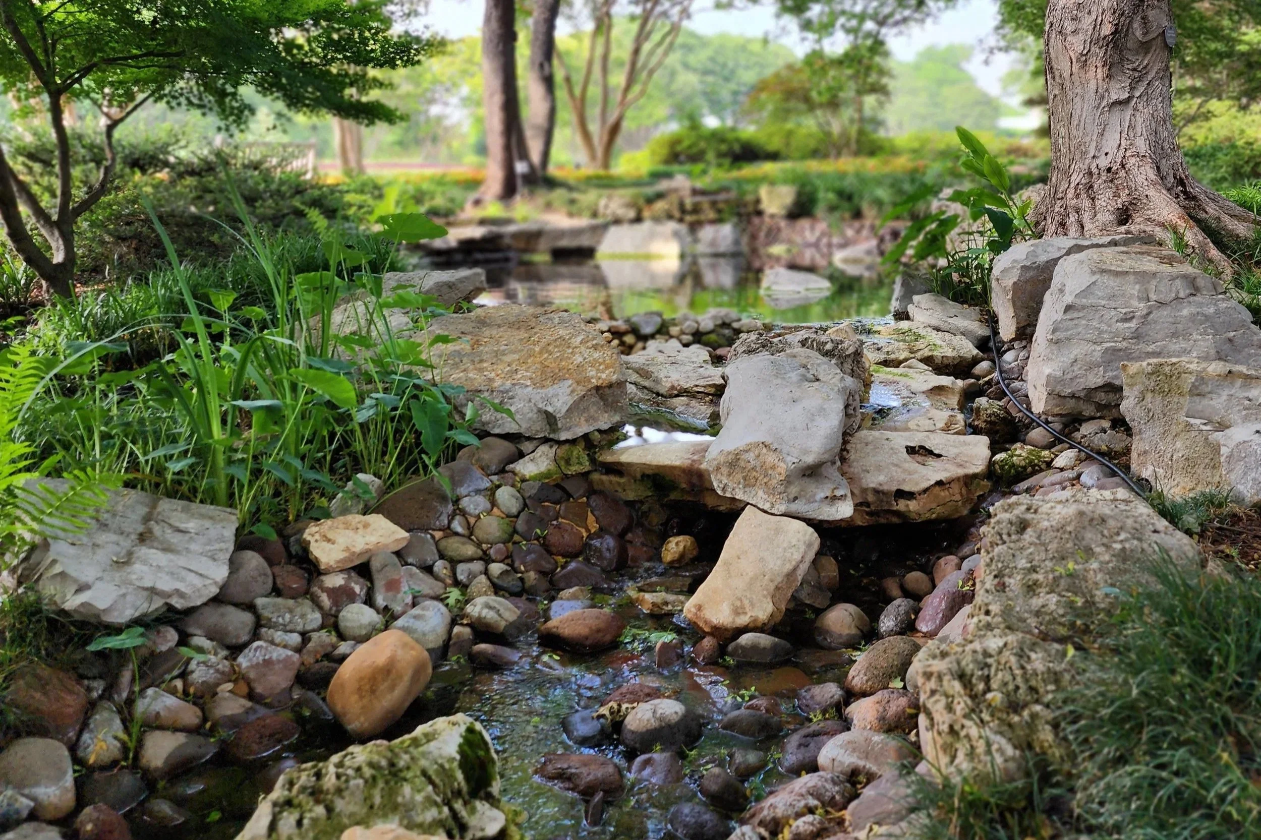 Family Fun At The Fort Worth Botanical Garden