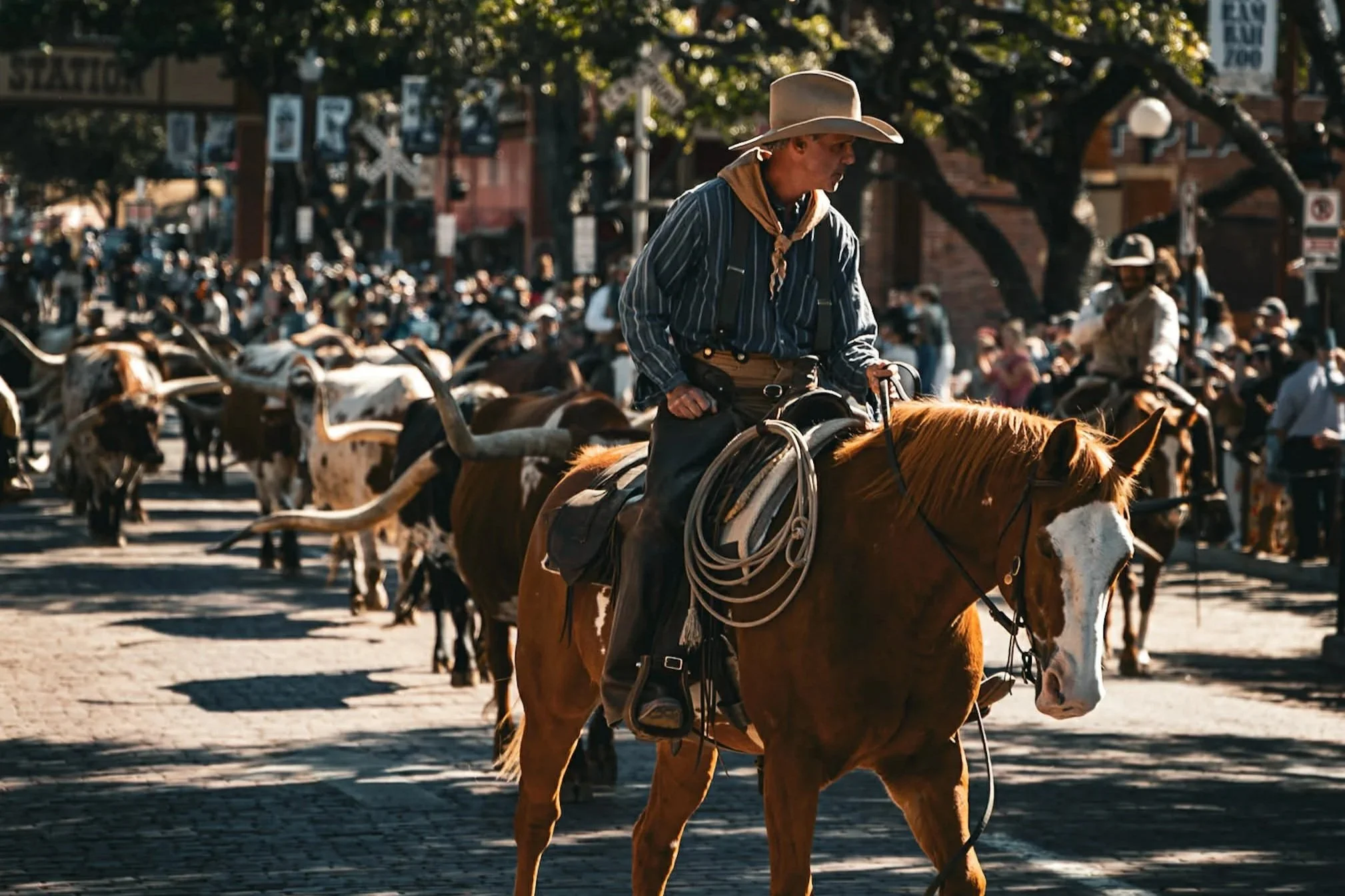 Experience History At The Fort Worth Stock Yards