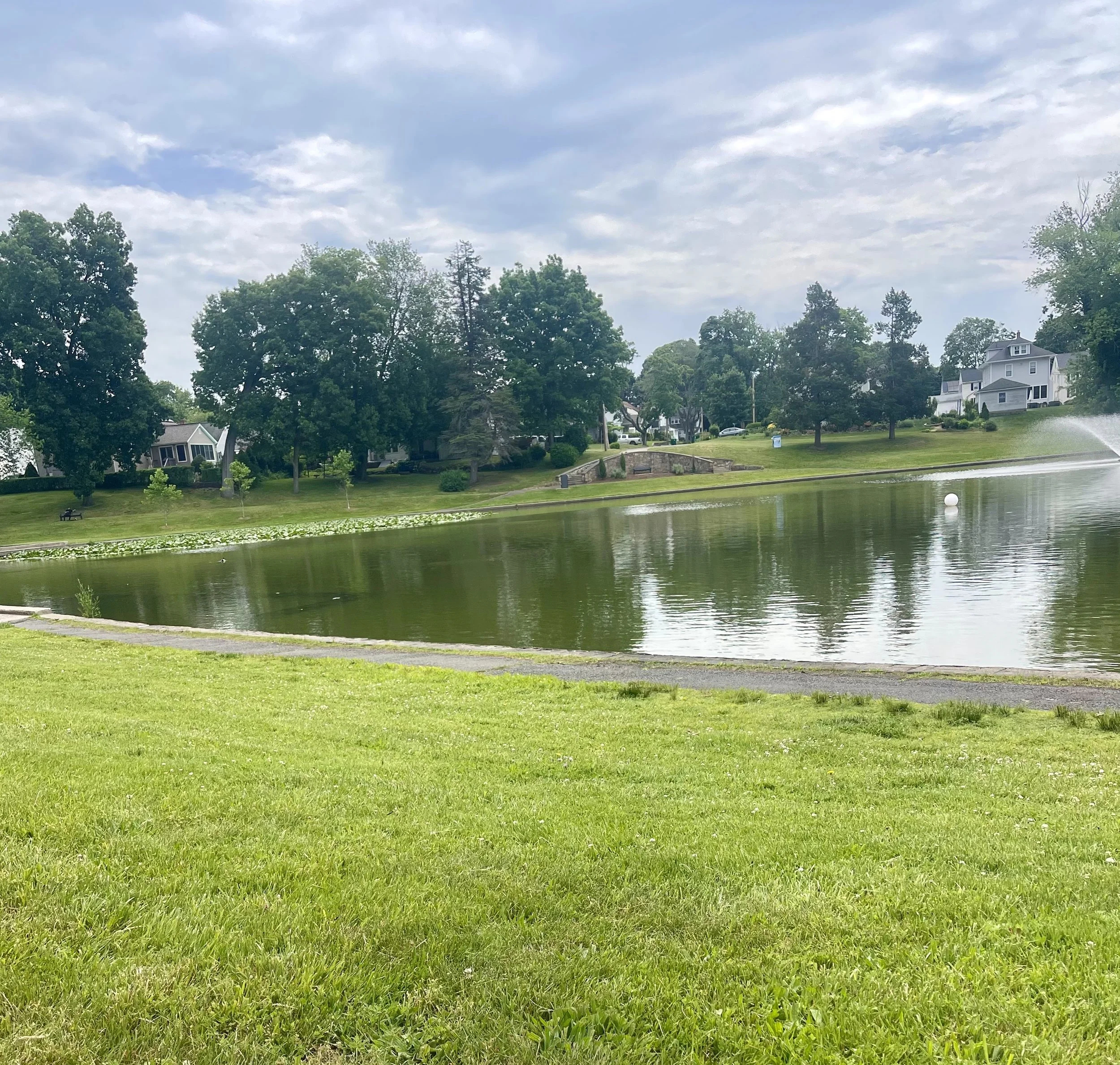 A scenic view of a pond with a fountain, surrounded by green grass, trees, and houses under a partly cloudy sky.