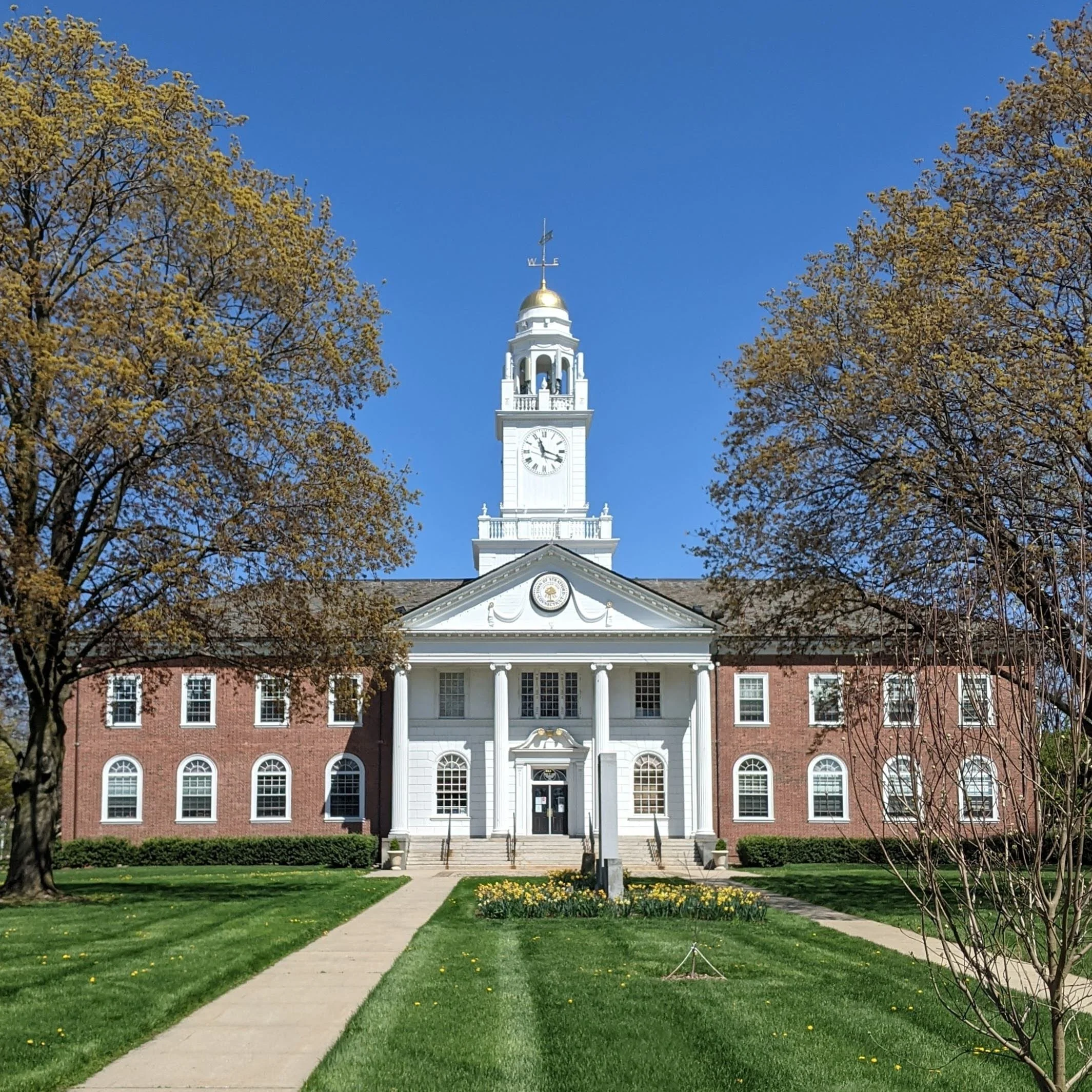A white historic building with a clock tower and gold dome, framed by yellow-flowered trees, green lawn, and a concrete walkway leading to the entrance.