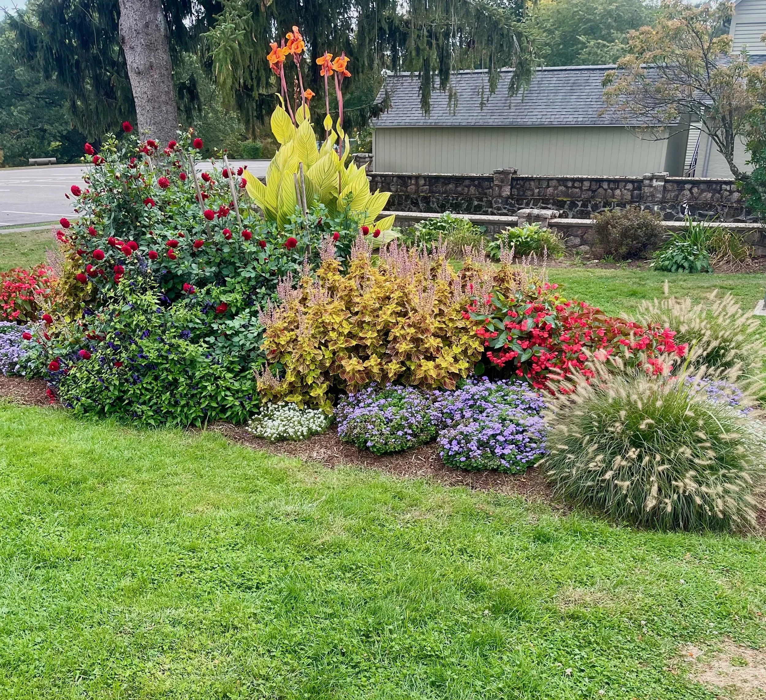 A colorful garden with various plants and flowers, a large tree, a stone wall, and a house in the background.