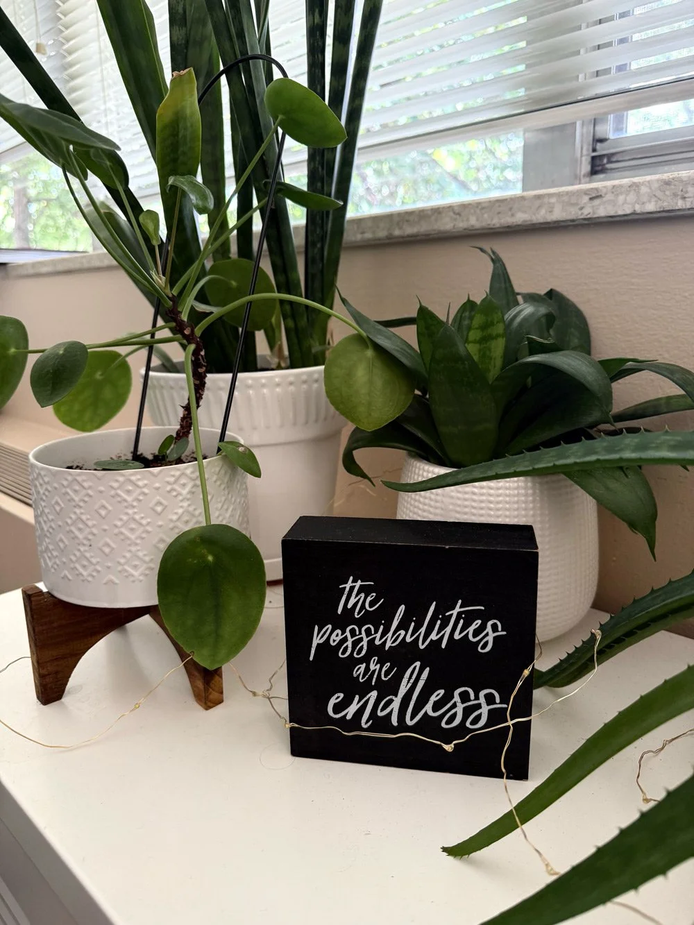 Indoor arrangement of potted houseplants on a white surface near a window with blinds, with a black sign reading 'the possibilities are endless' in front of the plants.