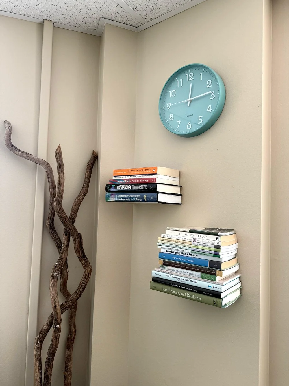 A wall with a teal round clock showing 12:15, and two wall shelves filled with a stack of books relating to therapy, grief, trauma, and resilience. A decorative twisted driftwood piece is also seen on the left.