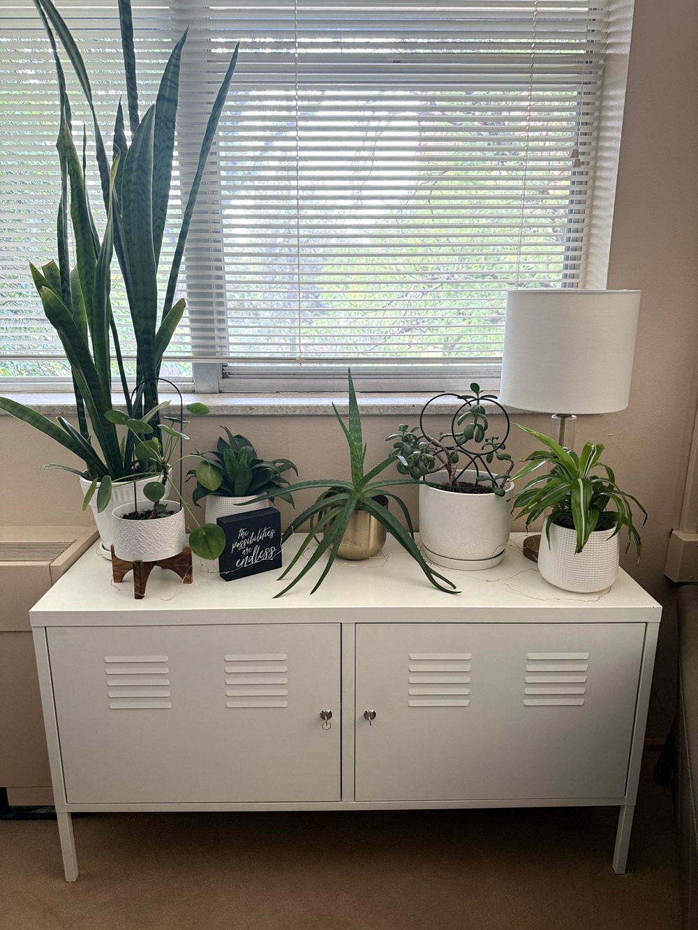 A white sideboard with five potted houseplants in front of a window with closed blinds, and a white table lamp to the right.