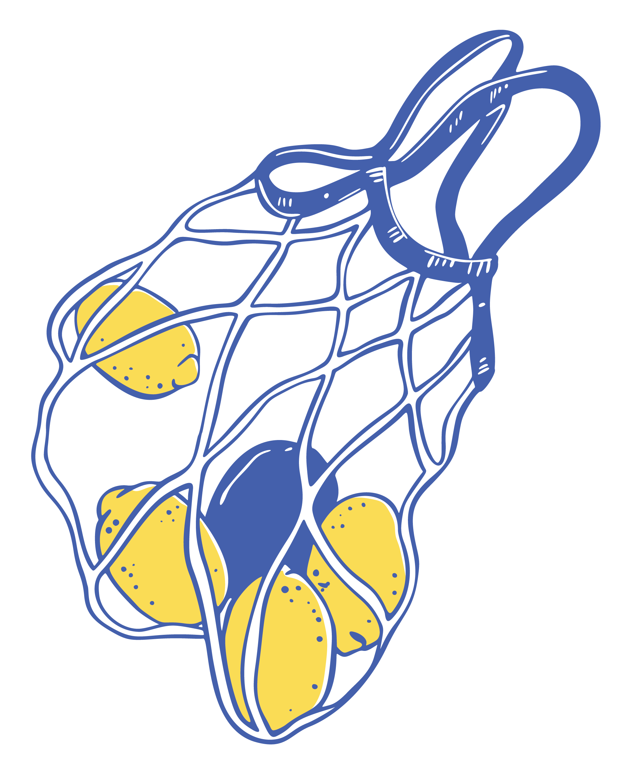 A stylized line drawing of lemons in a mesh bag, colored in blue and yellow.