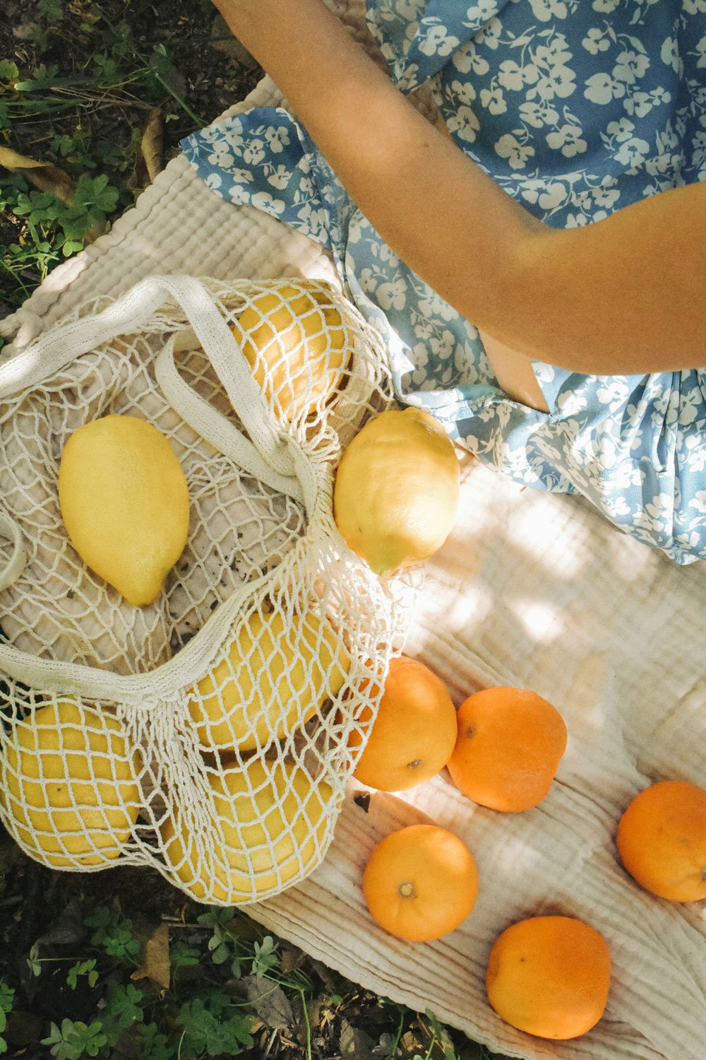 Yellow and orange melons and fruits in a reusable netted bag representing therapy for life after grief and trauma.