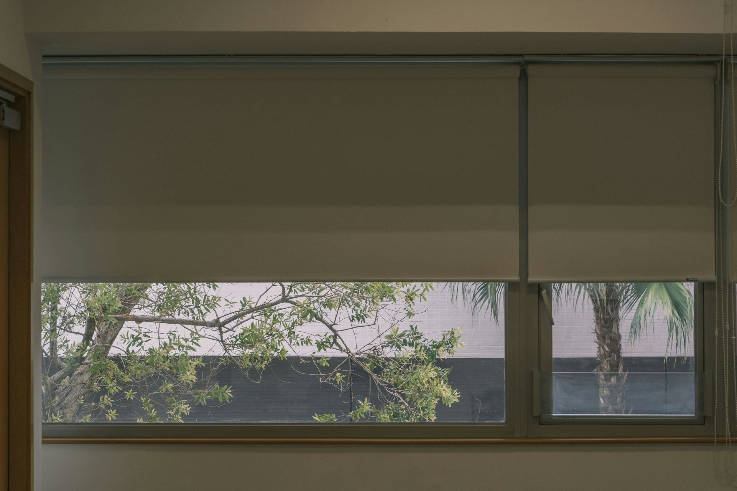 View from inside a room looking out through a roller shade window, showing trees and a palm tree outside.