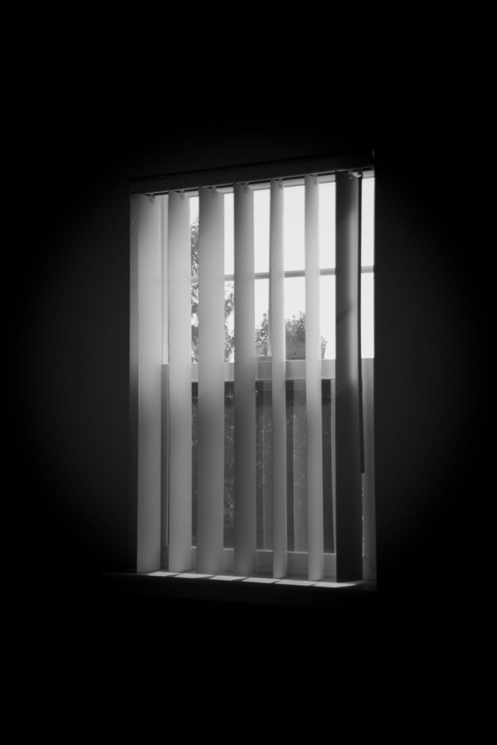 A window with vertical blinds partially open, allowing light to filter into the room, with a view of trees outside.