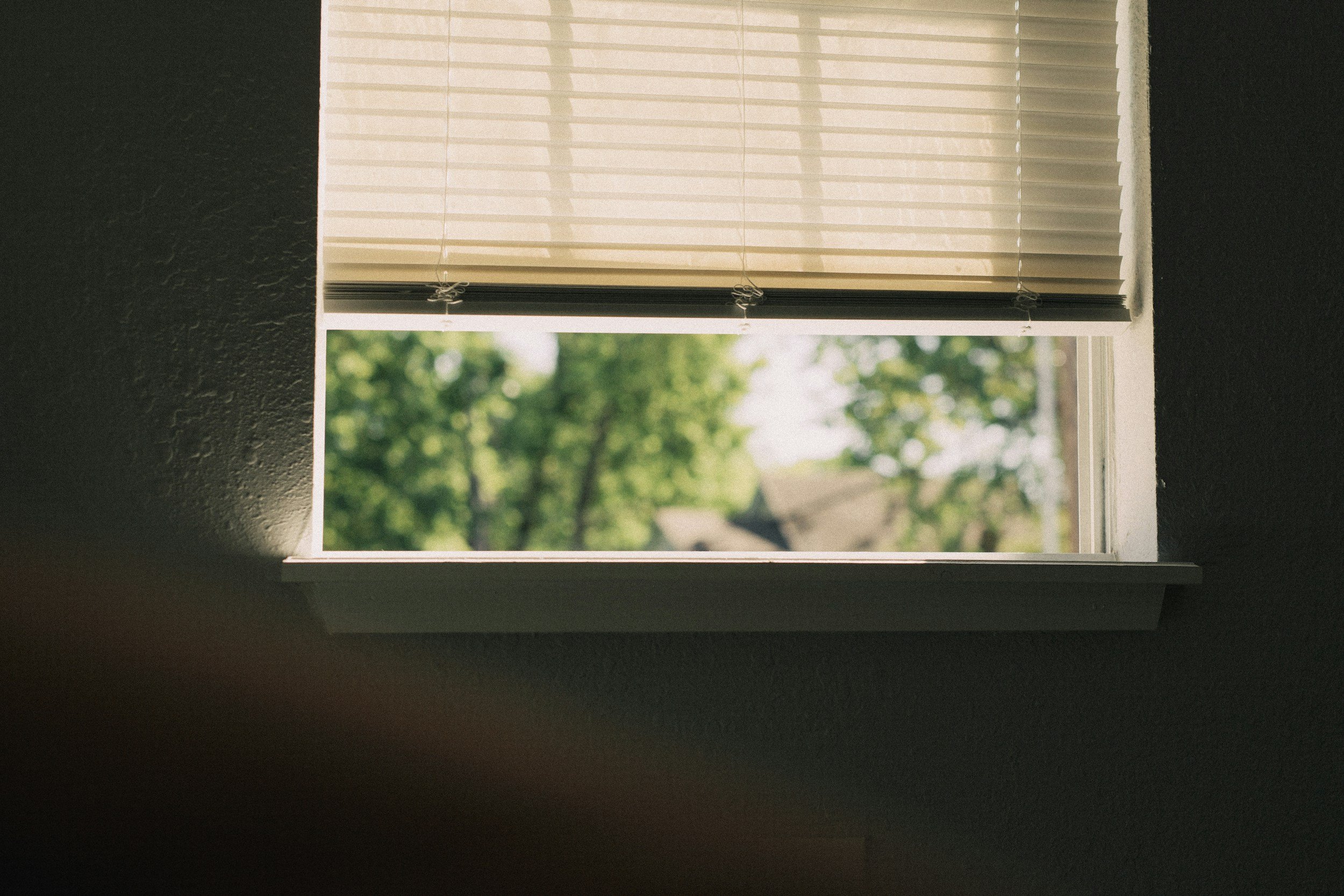 Window with horizontal plastic miniblinds.