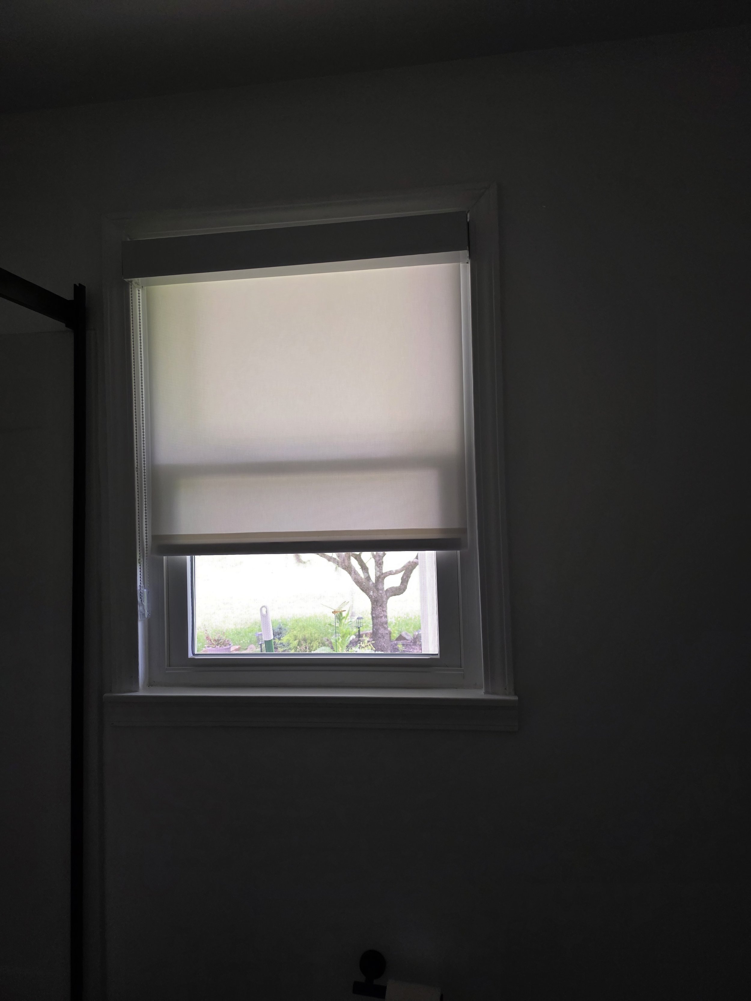 Window with a light-colored blind partially closed, revealing a tree and outdoor yard with greenery outside.