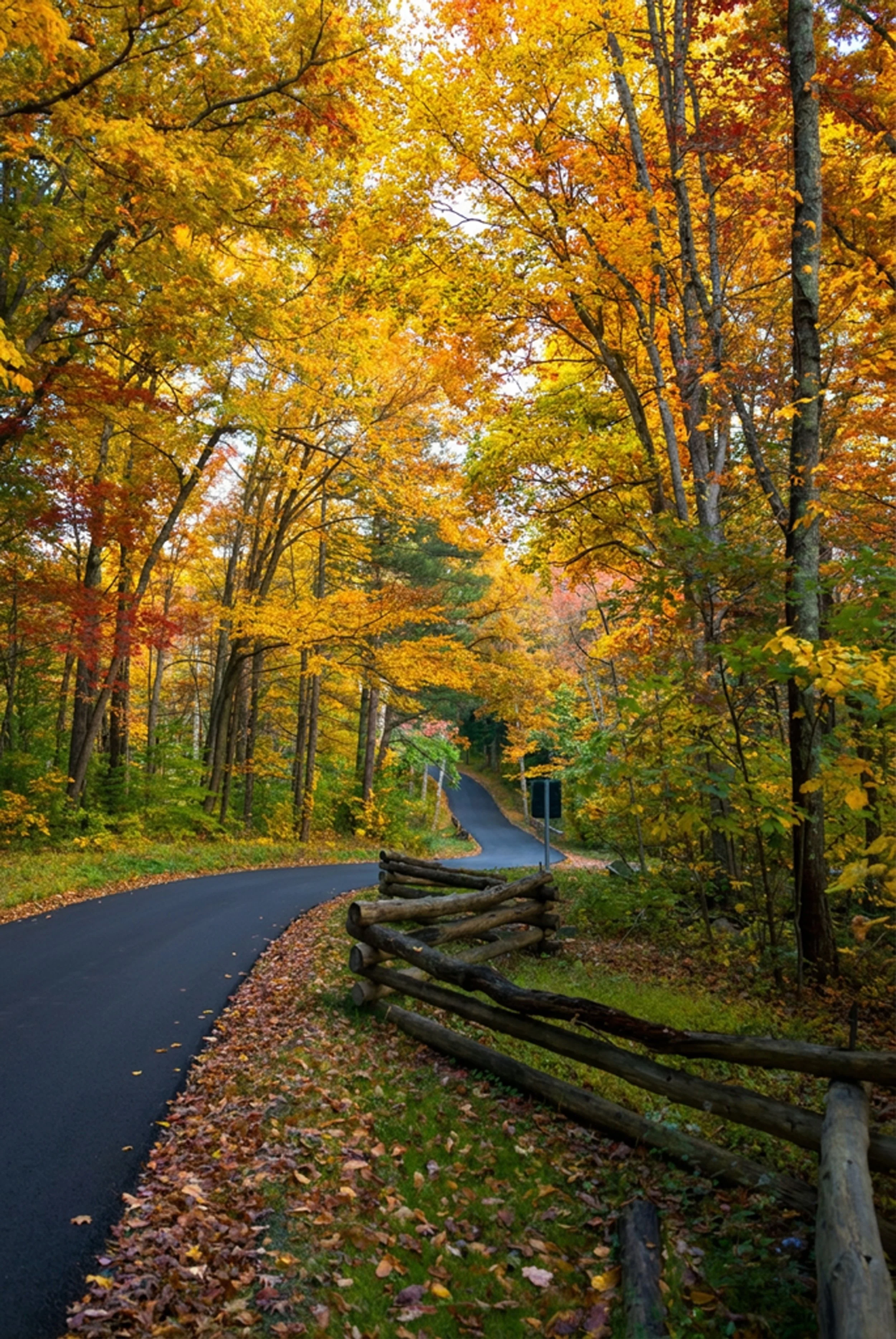 L-88 Rolling Hill Upstate NY.jpg
