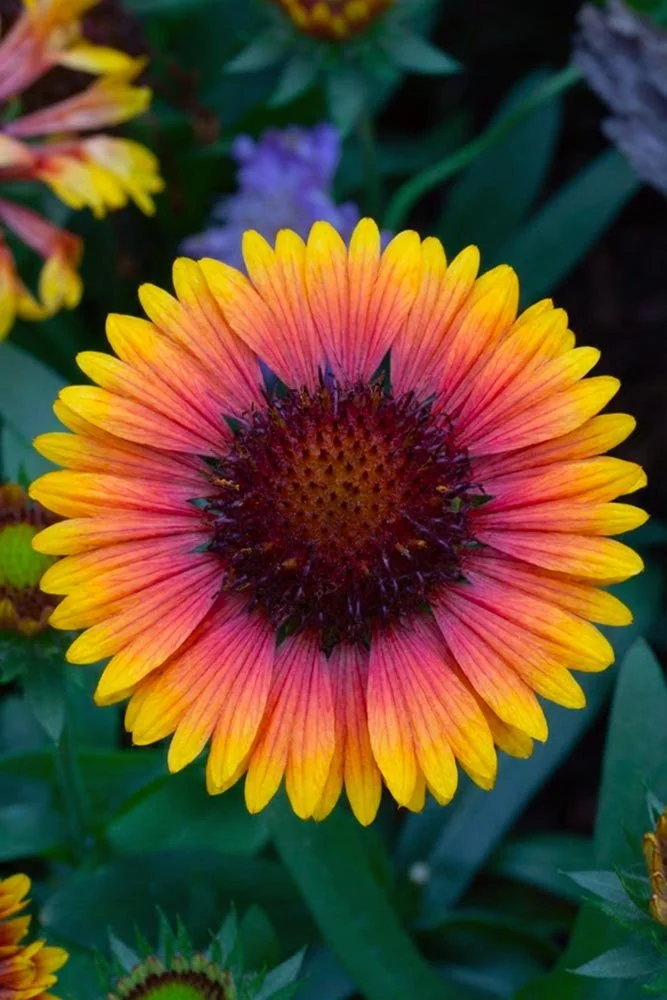 40_Yellowbird Detail Flower.jpg