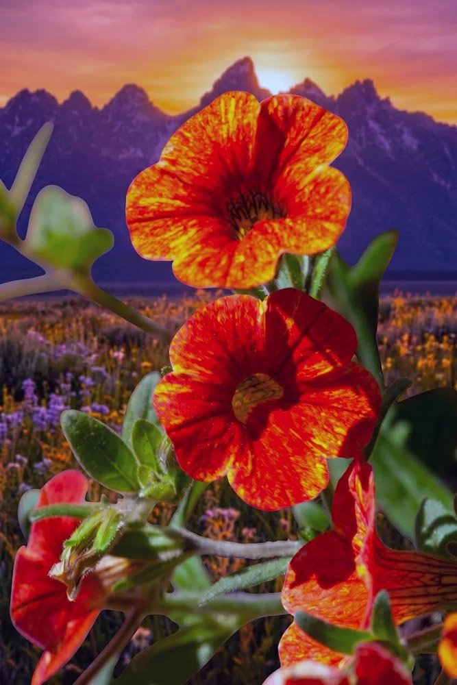 19_Flowers on the Mountain.jpg