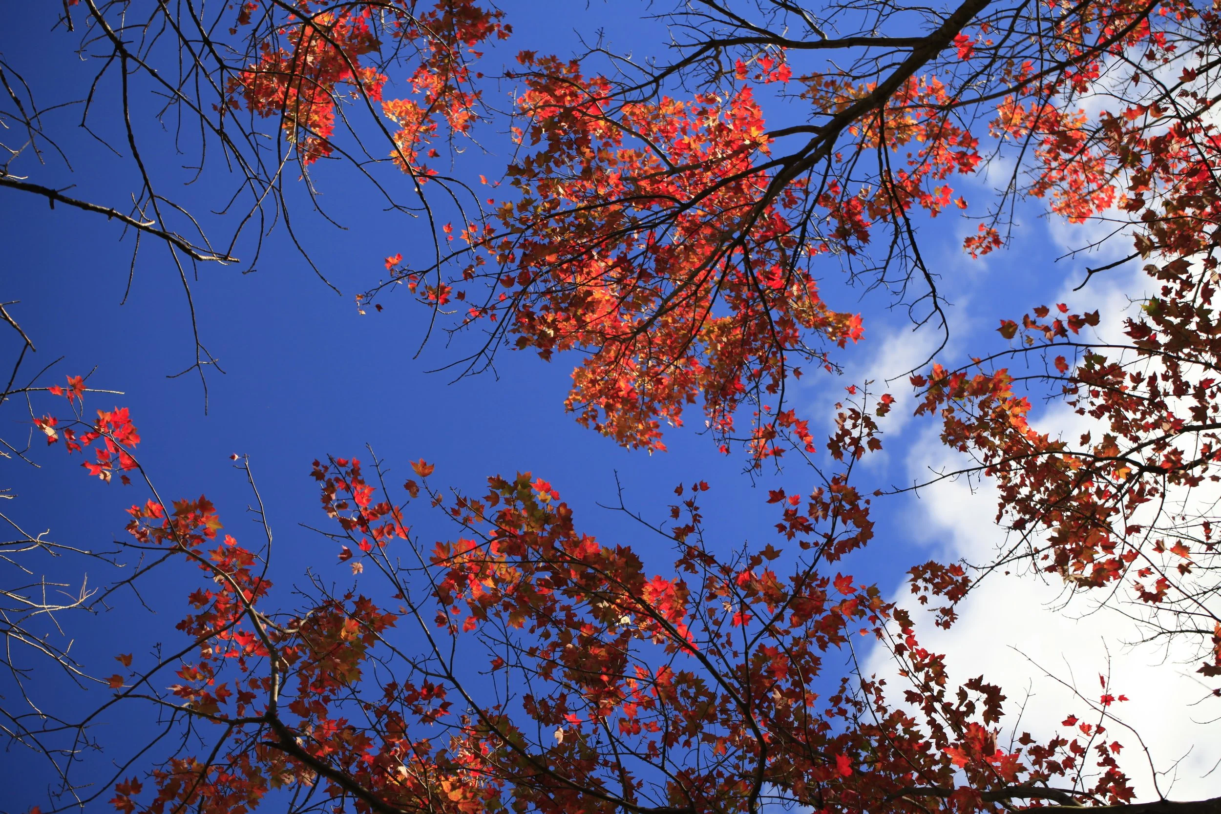 _MG_8946_6646.JPG