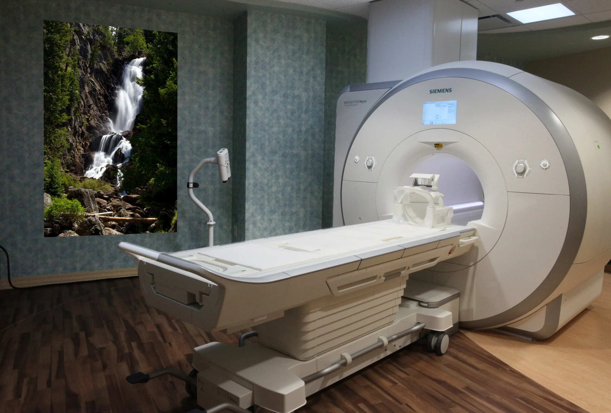 mri.jpg