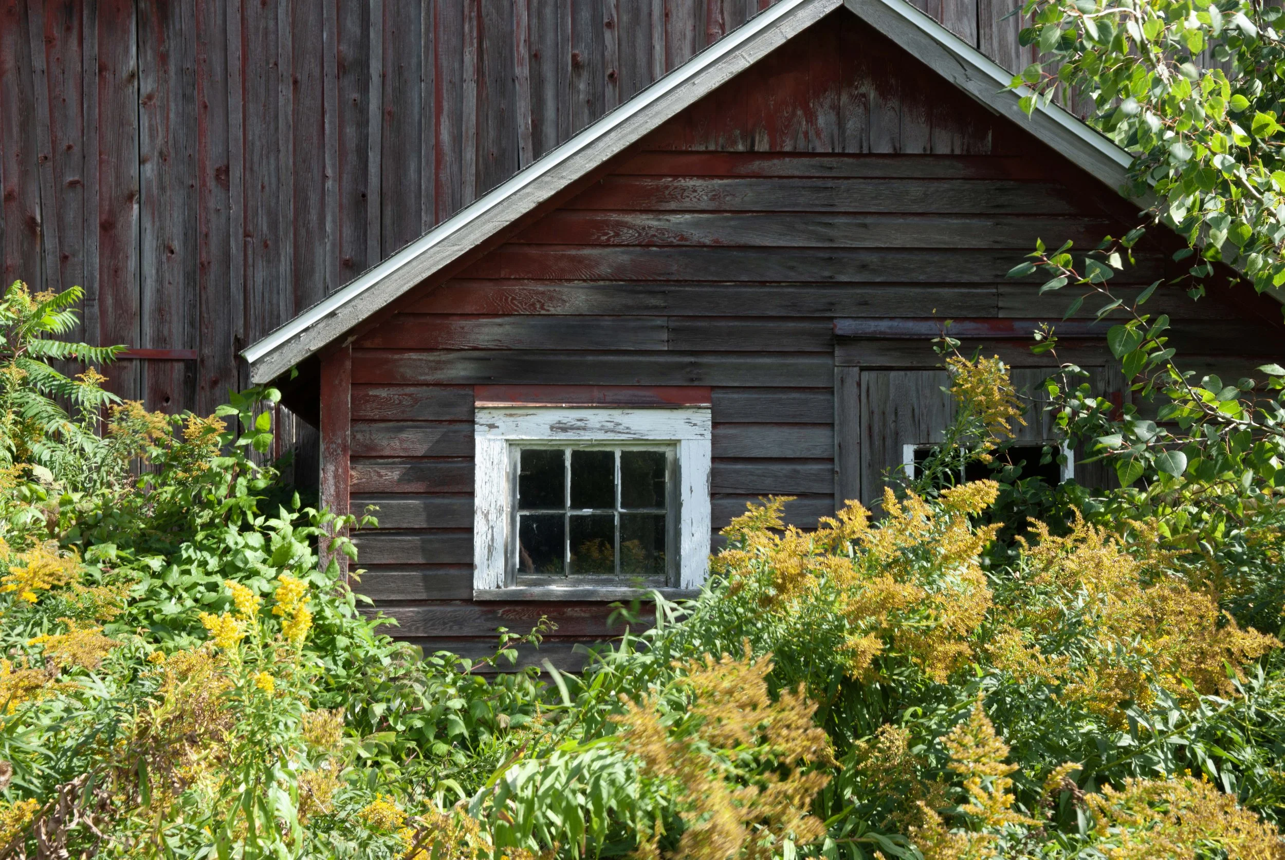 L-88 upstate barn copy.jpg