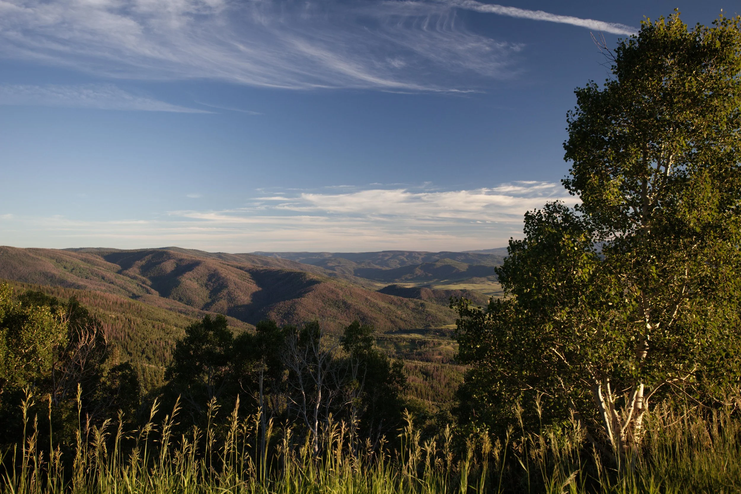SB-16.jpg