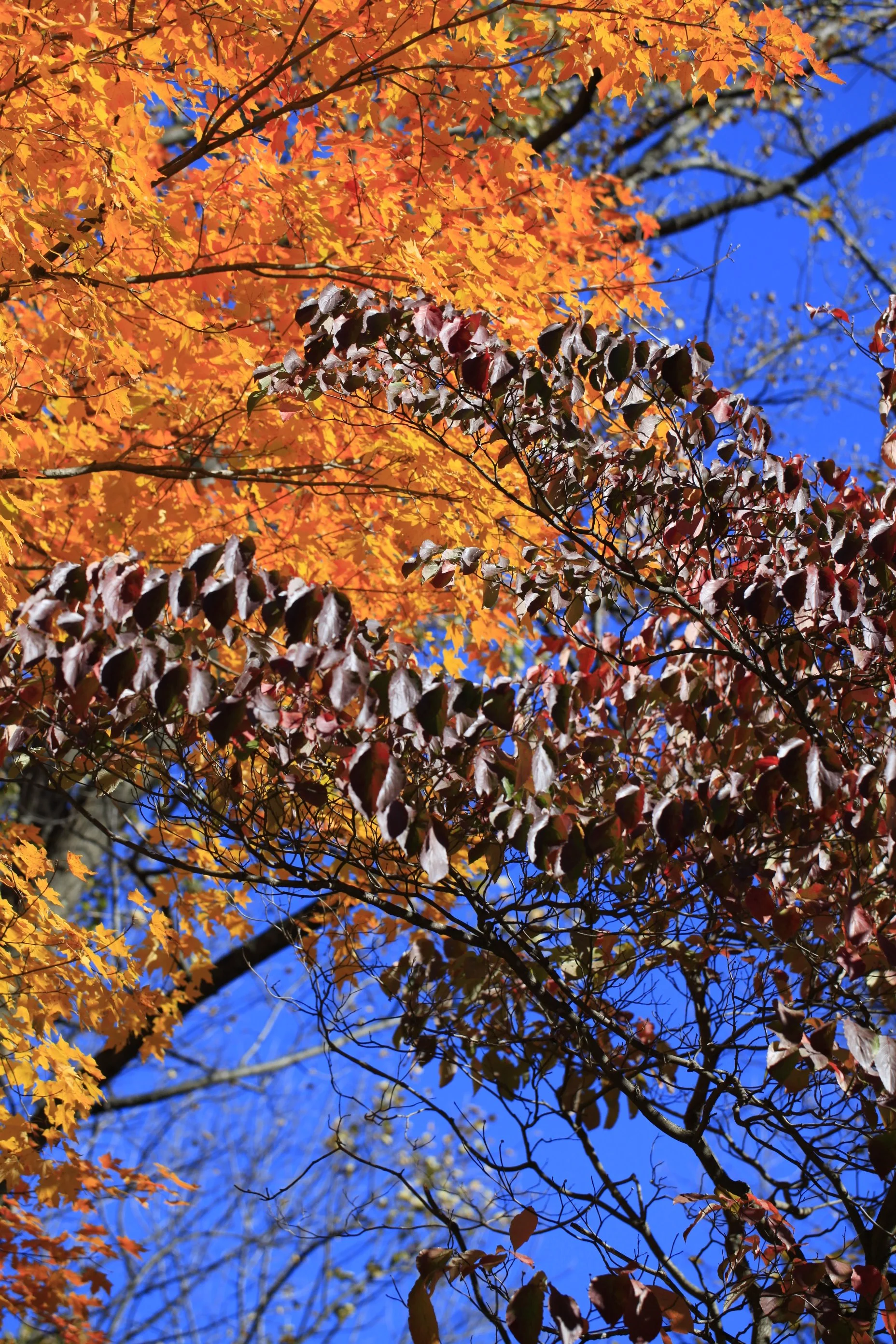 _MG_8935_6680.JPG