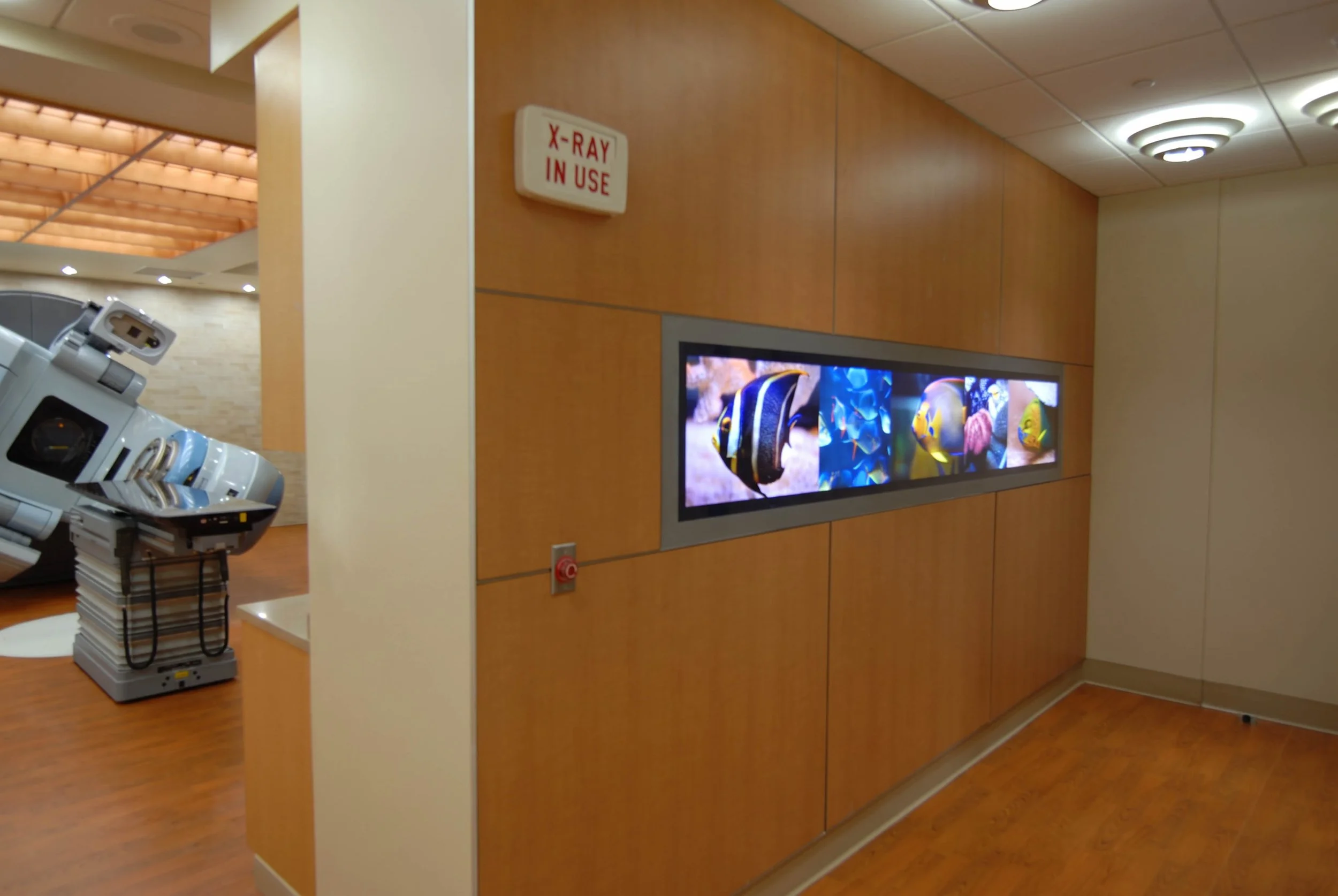 linac maze fish image.jpg