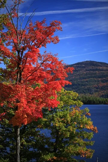 F-3.jpg