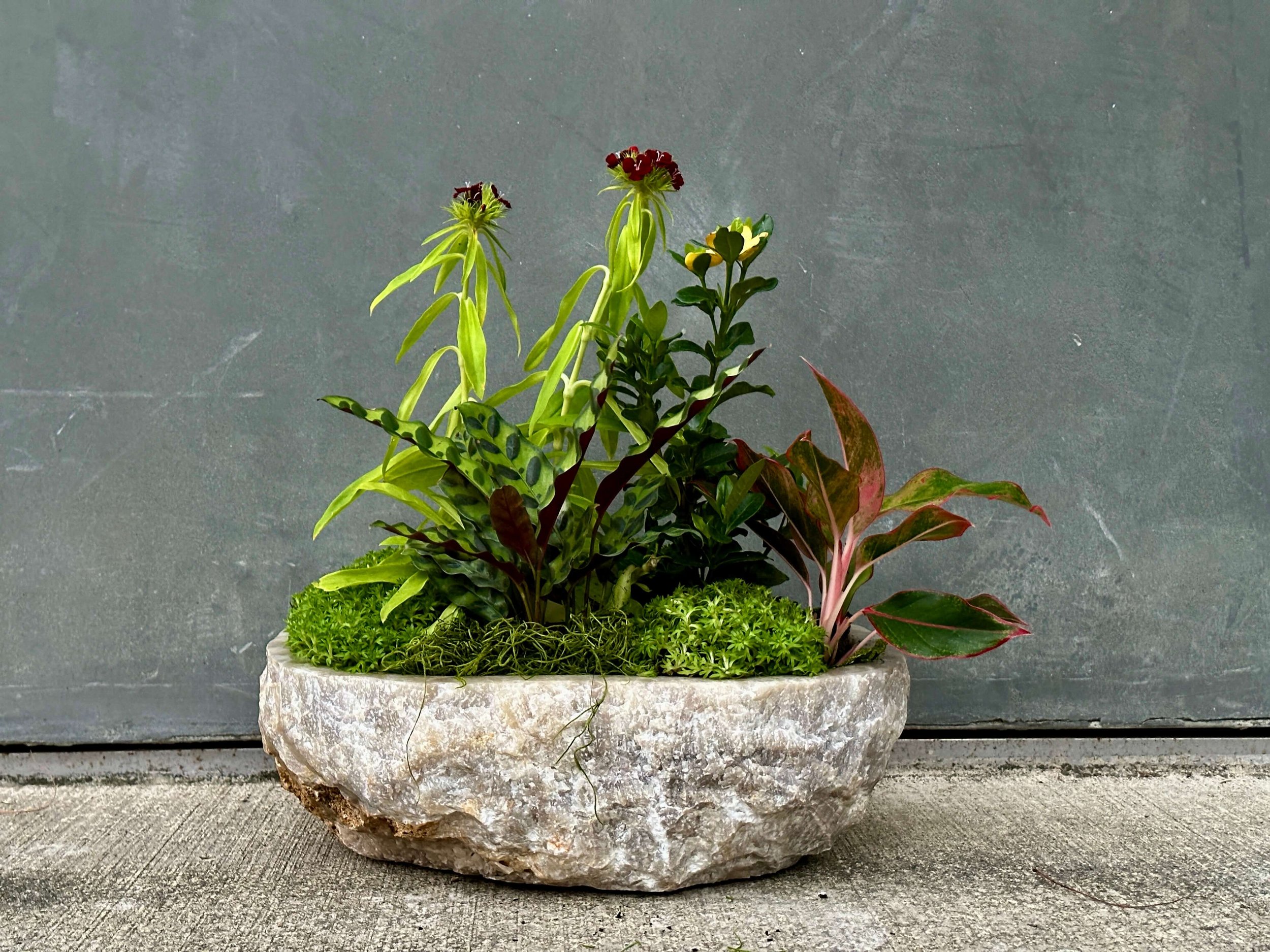 TerraSpheres Small Marble Bowl
