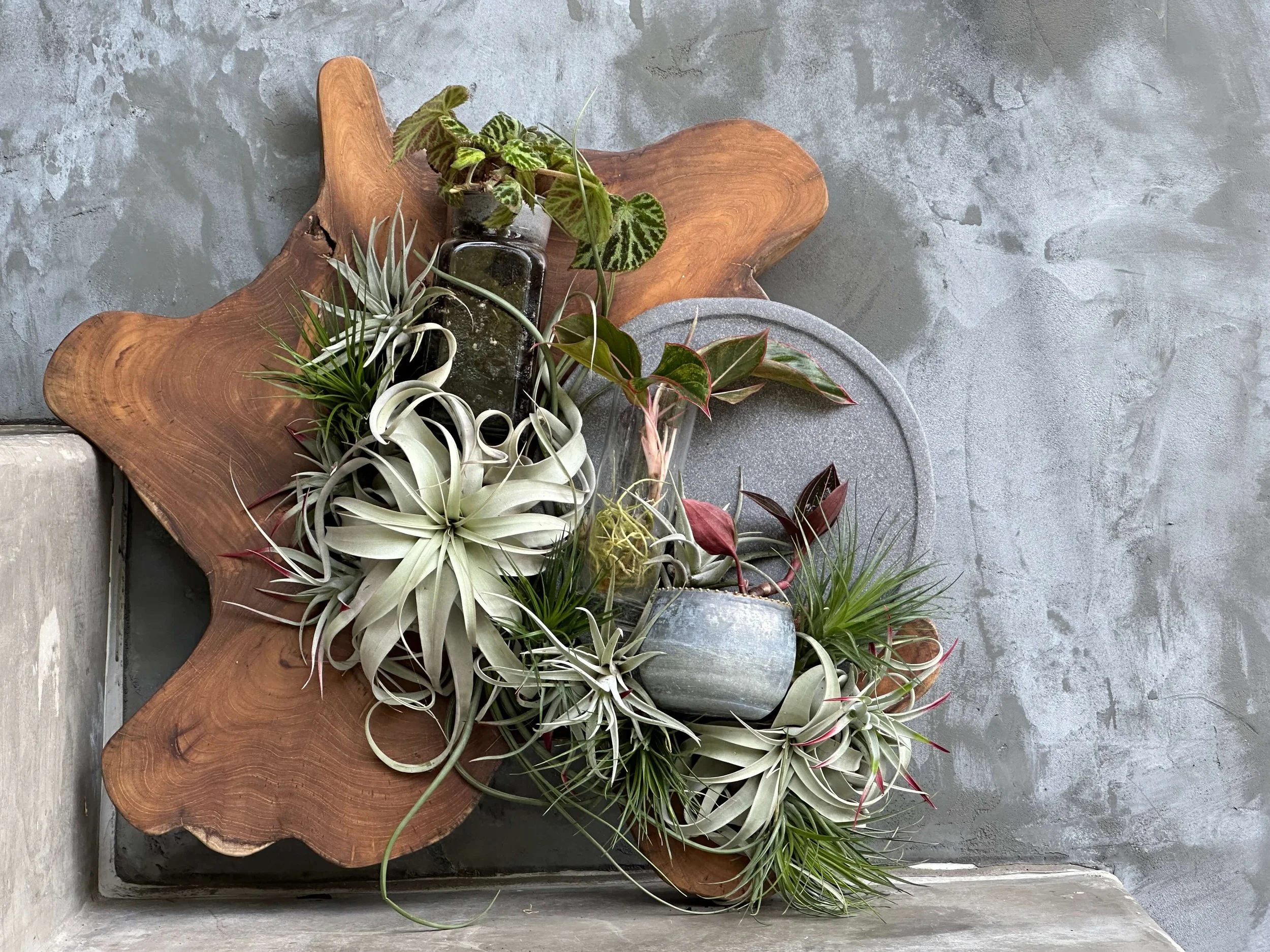 TerraSpheres Teak Wall Hanging