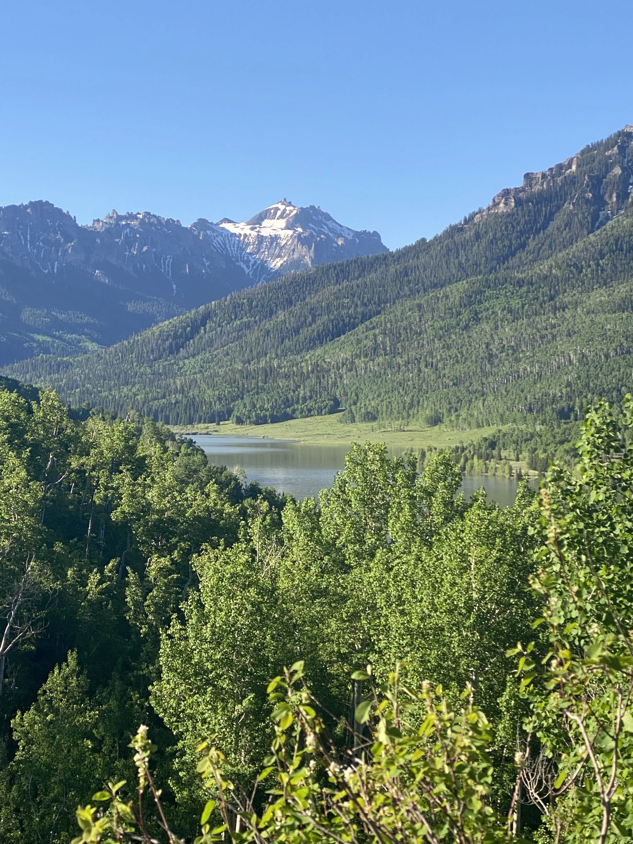 Snow-capped mountain range above a forested valley and calm lake under a clear blue sky