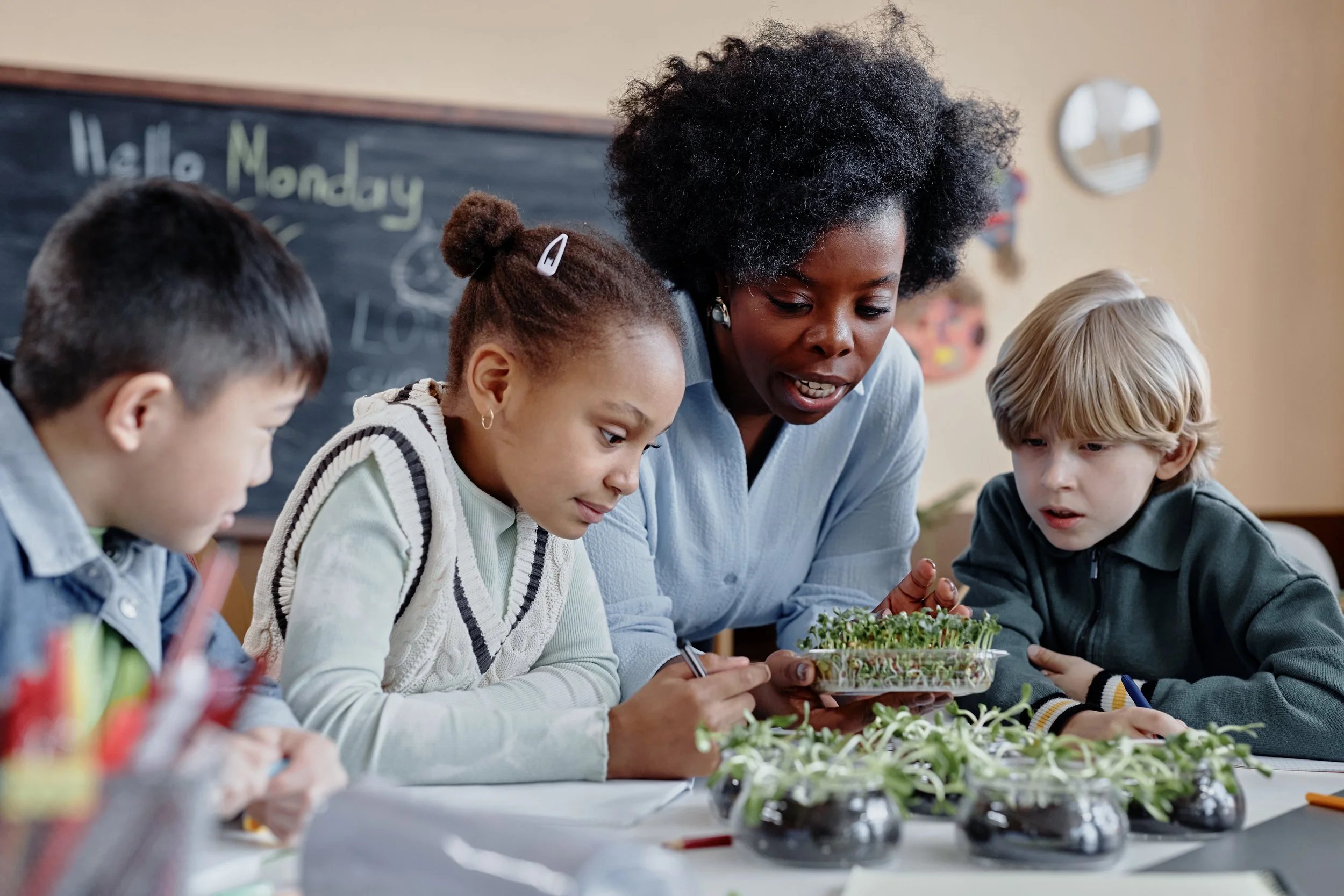 An adult woman with large natural hair teaches children about plants in a classroom. The children are looking at small plants on the table.