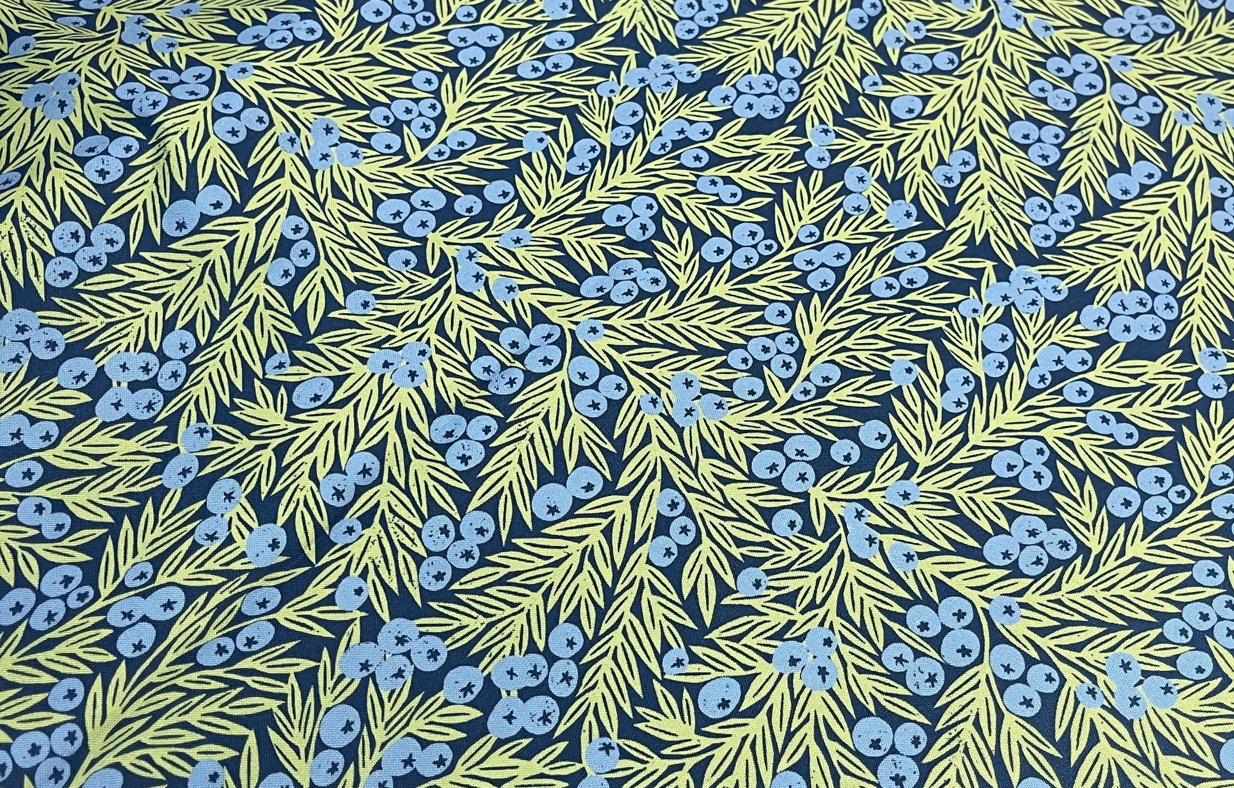 Olympia Blueberry Farm