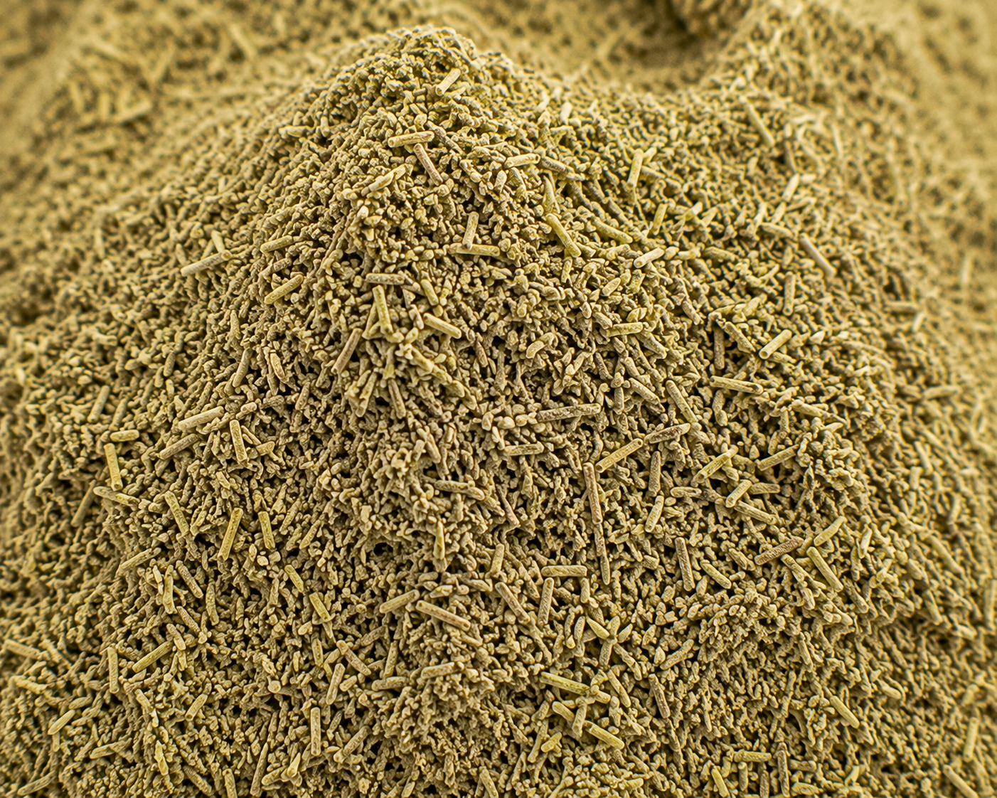 Rosemary, Ground