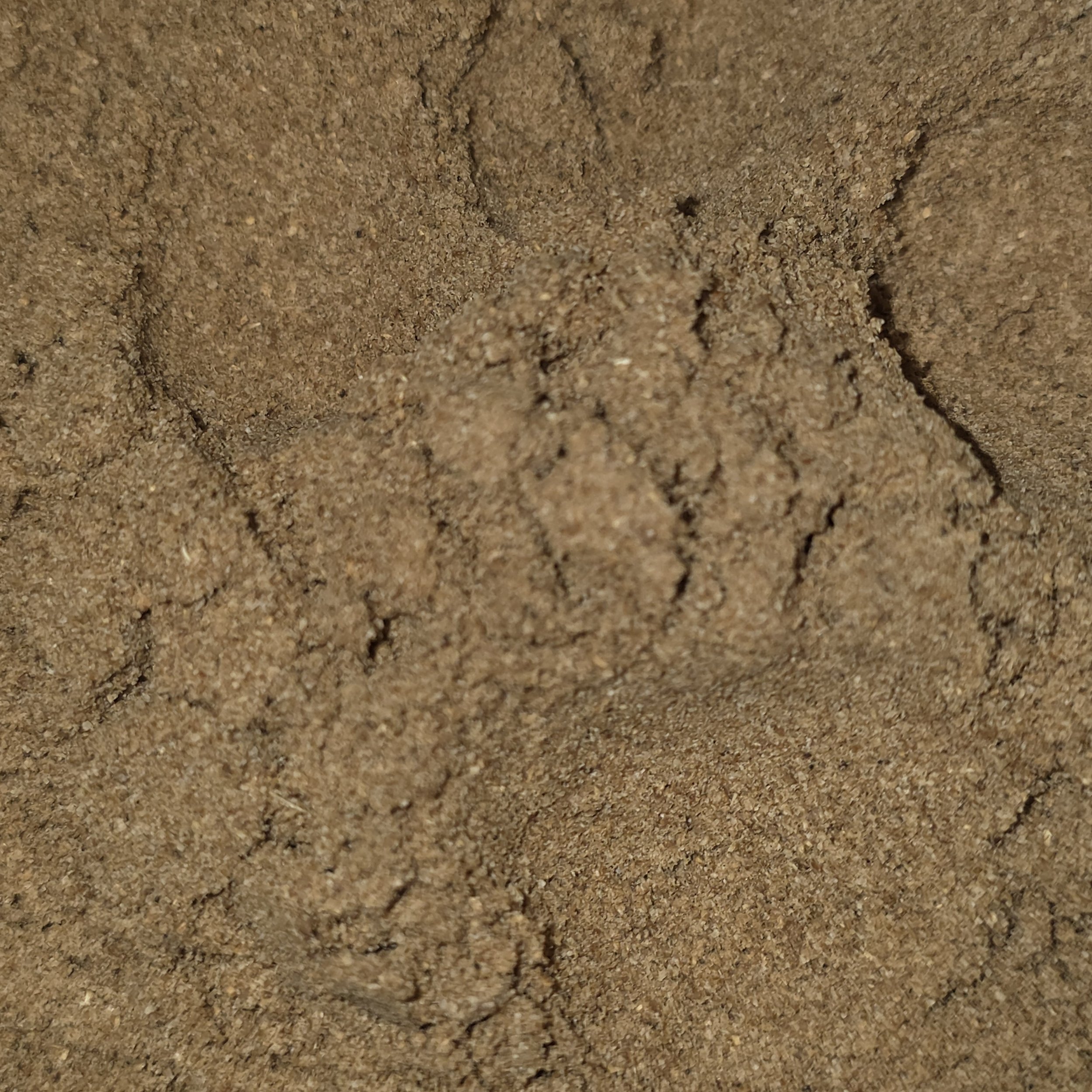 Coriander, Ground