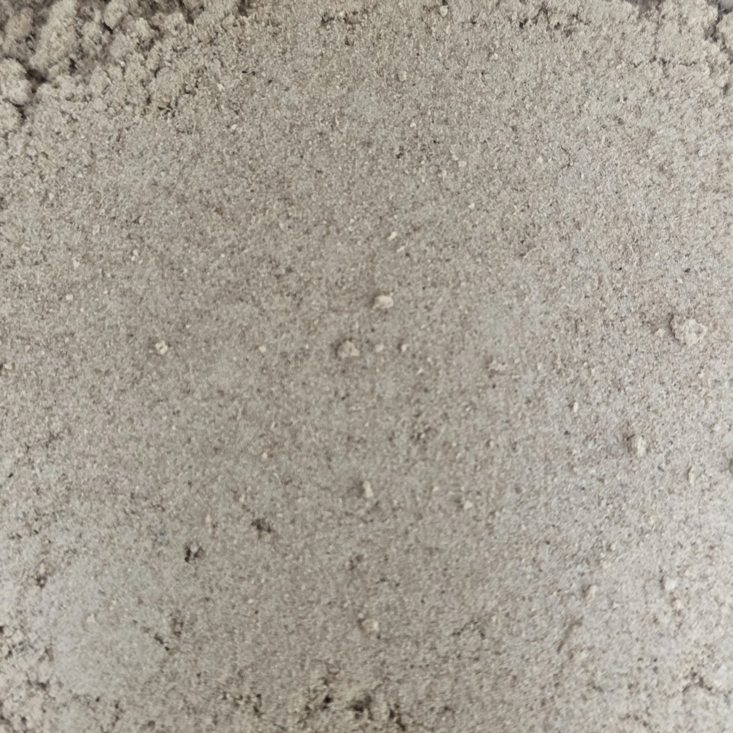 Ginger, Ground