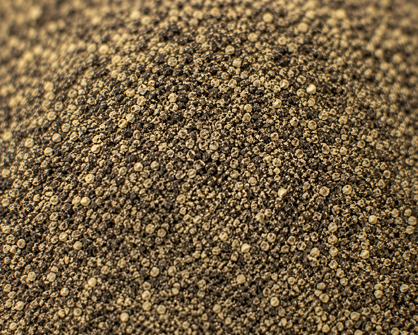 Black Pepper