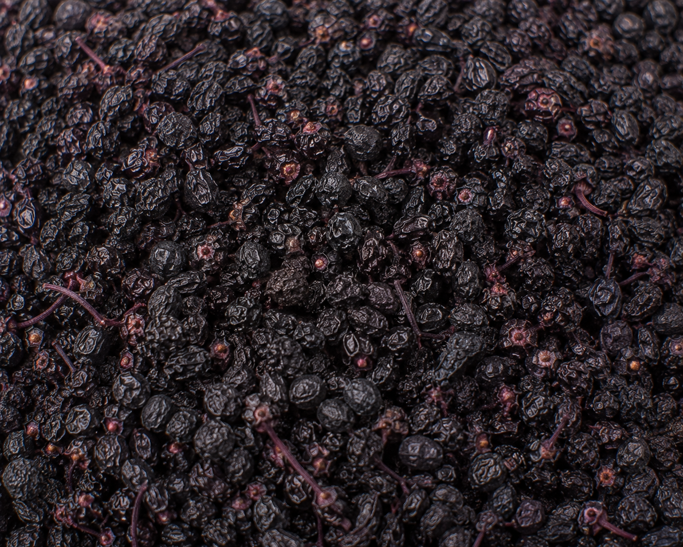 Elderberries, Dried