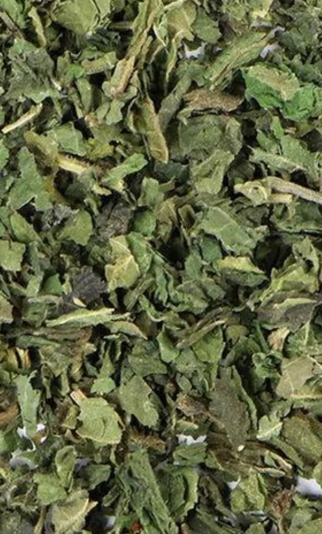 Nettle Leaf, Dried, Organic