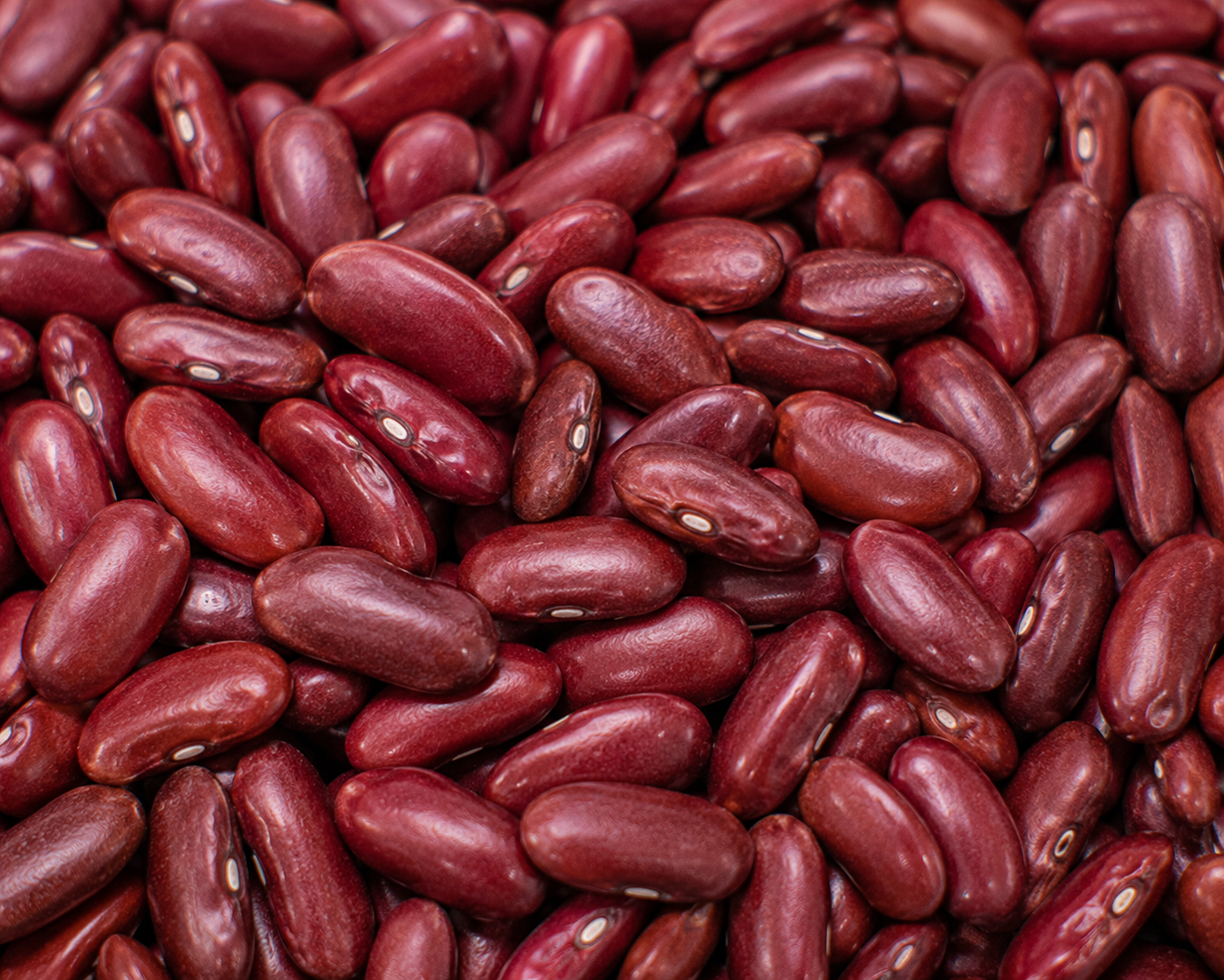 Kidney Beans, Dry