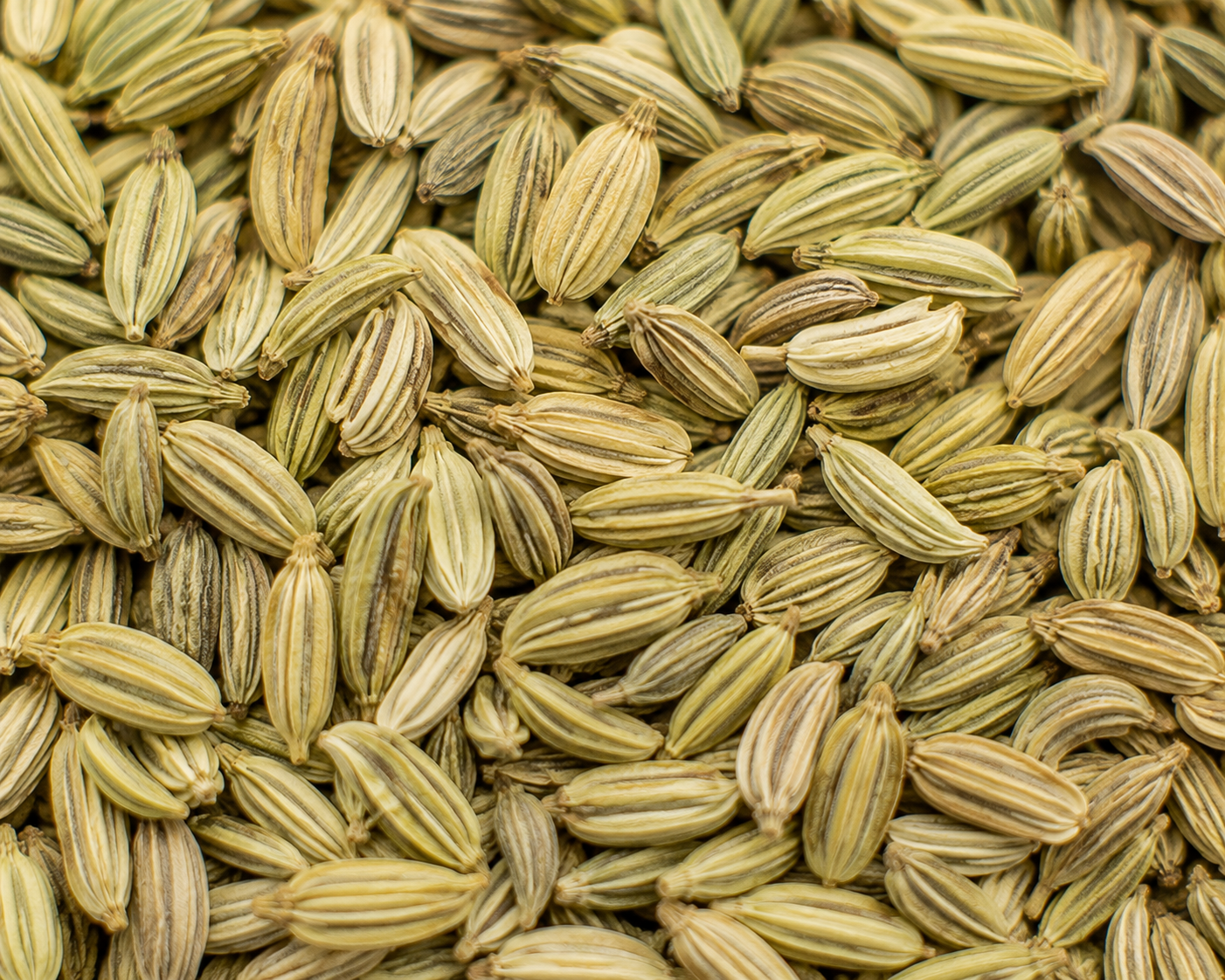 Fennel Seeds
