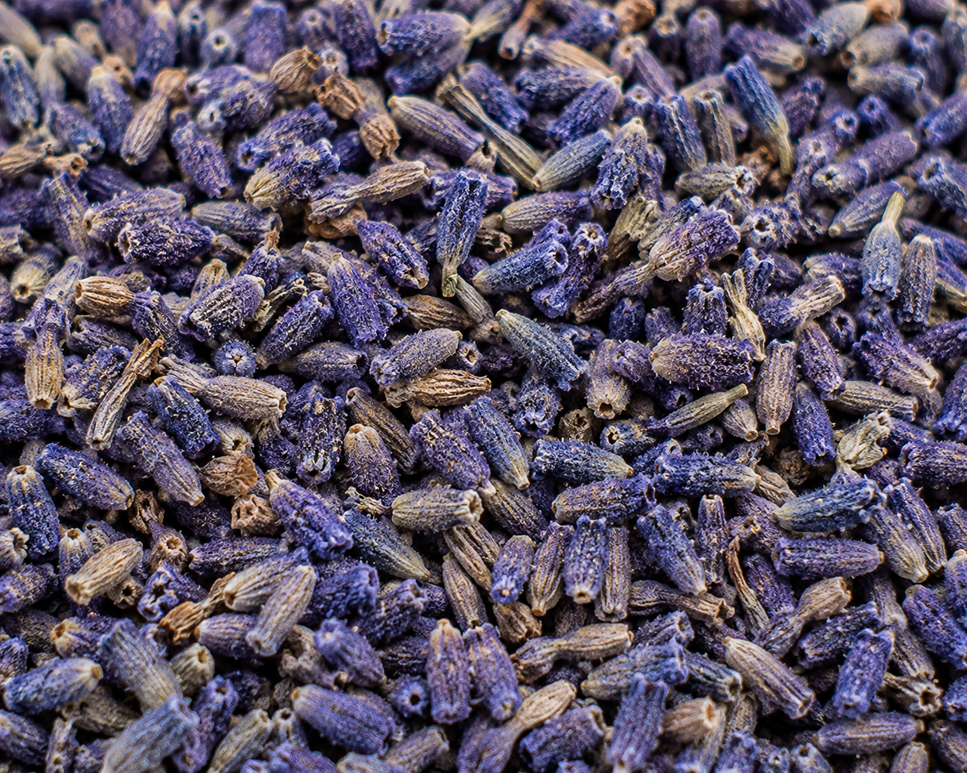 Lavender Flowers, Dried