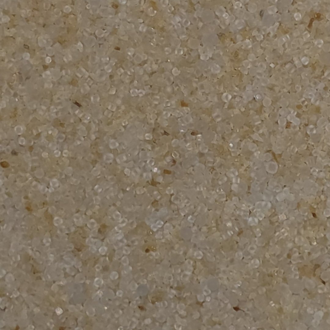 Garlic Salt