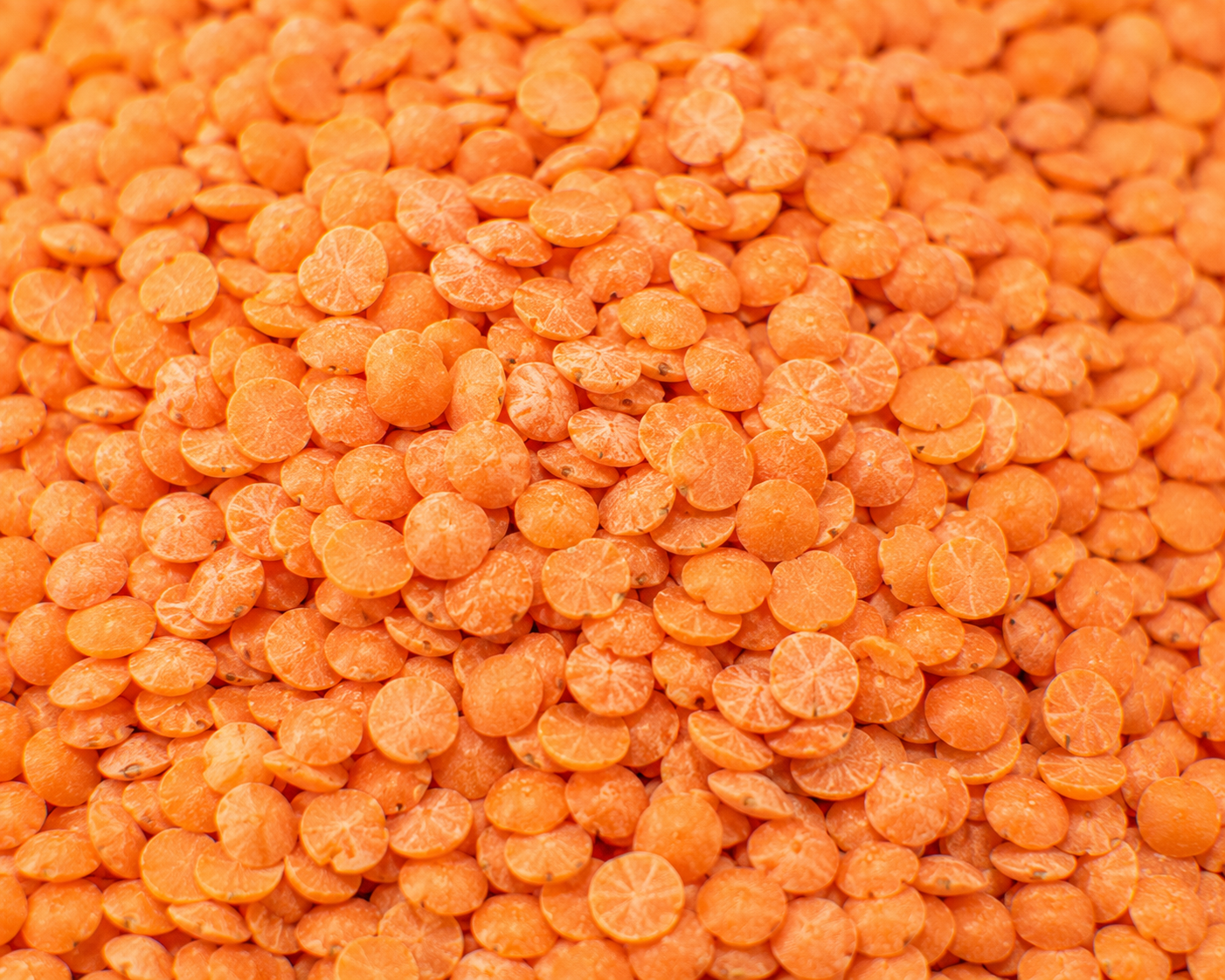 Lentils, Red