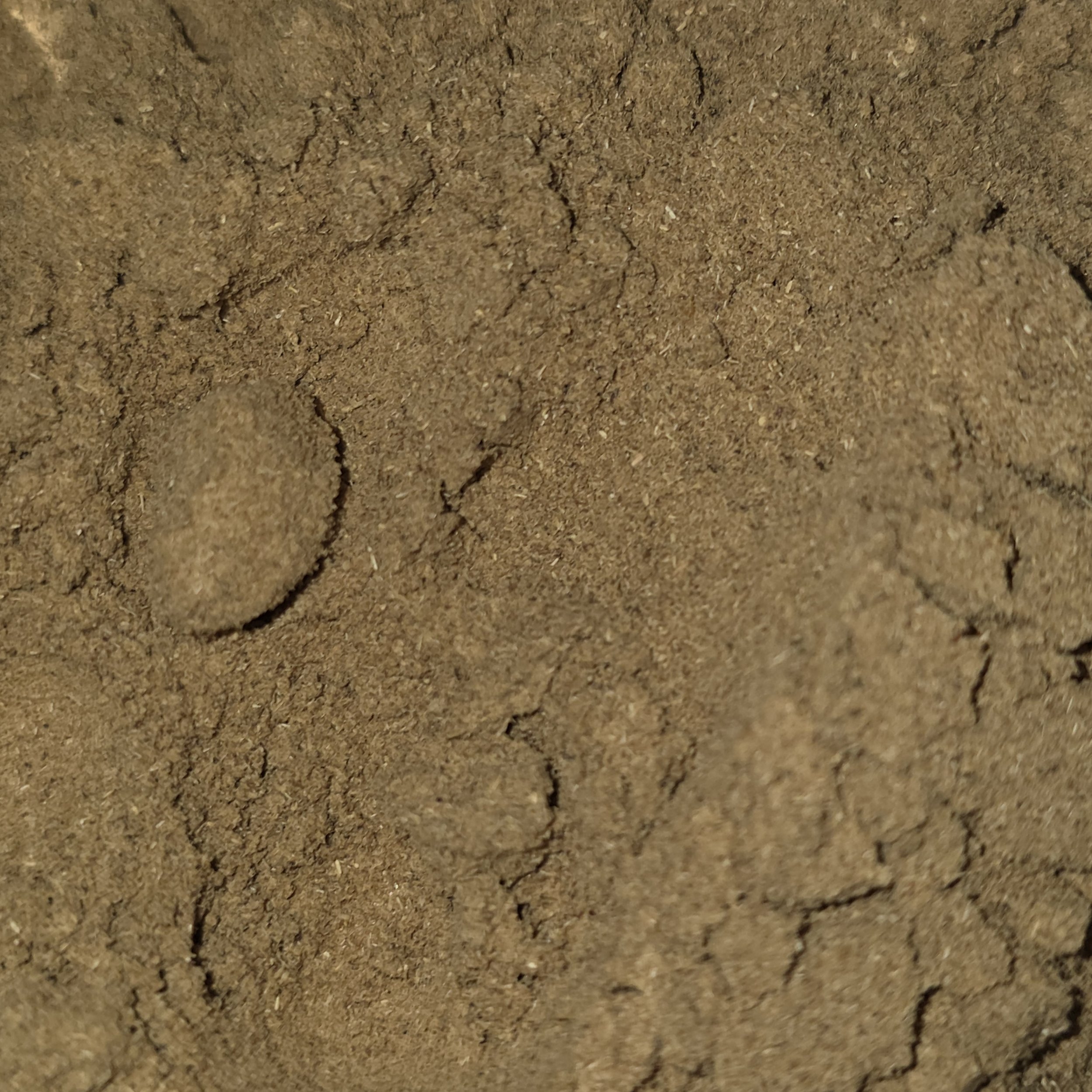 Cumin, Ground