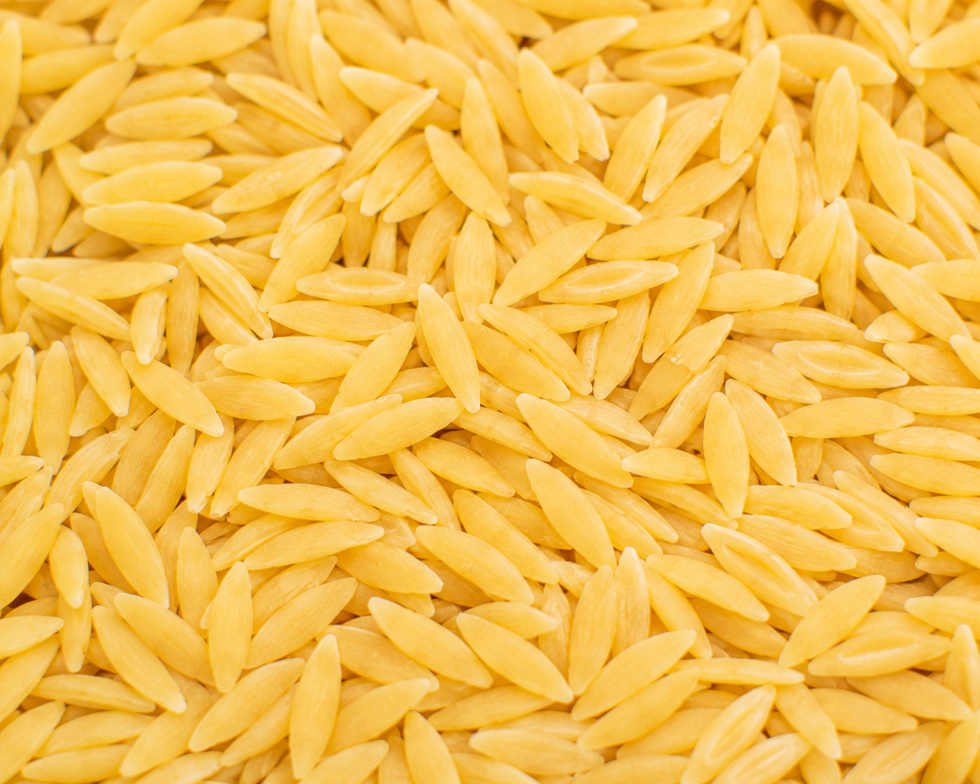 Orzo Pasta