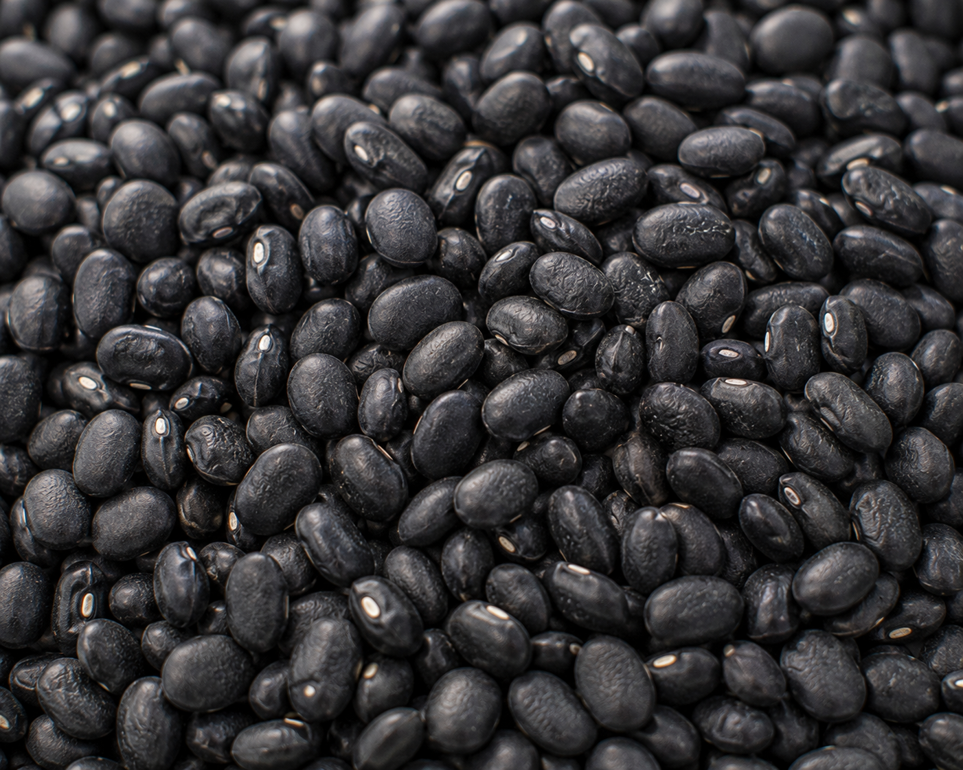Black Beans, Dry