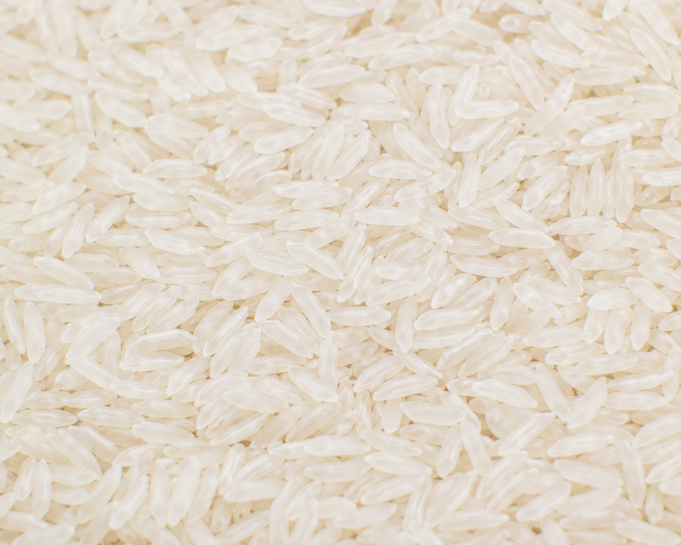 White Rice