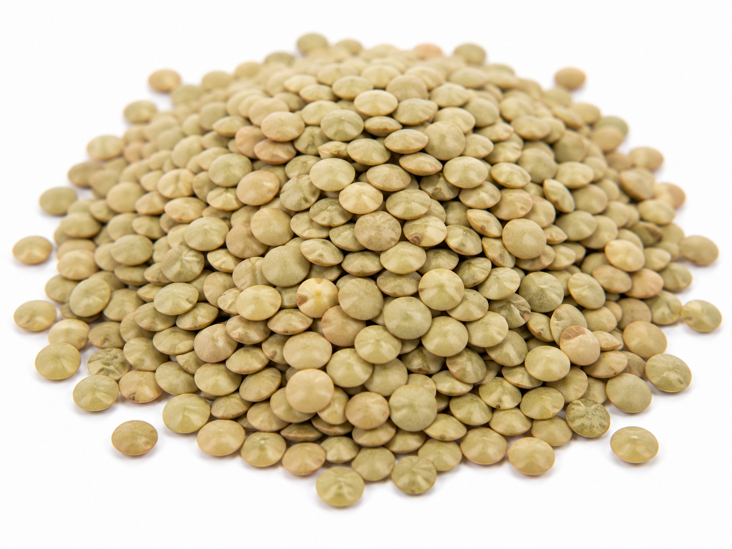 Lentils, Green